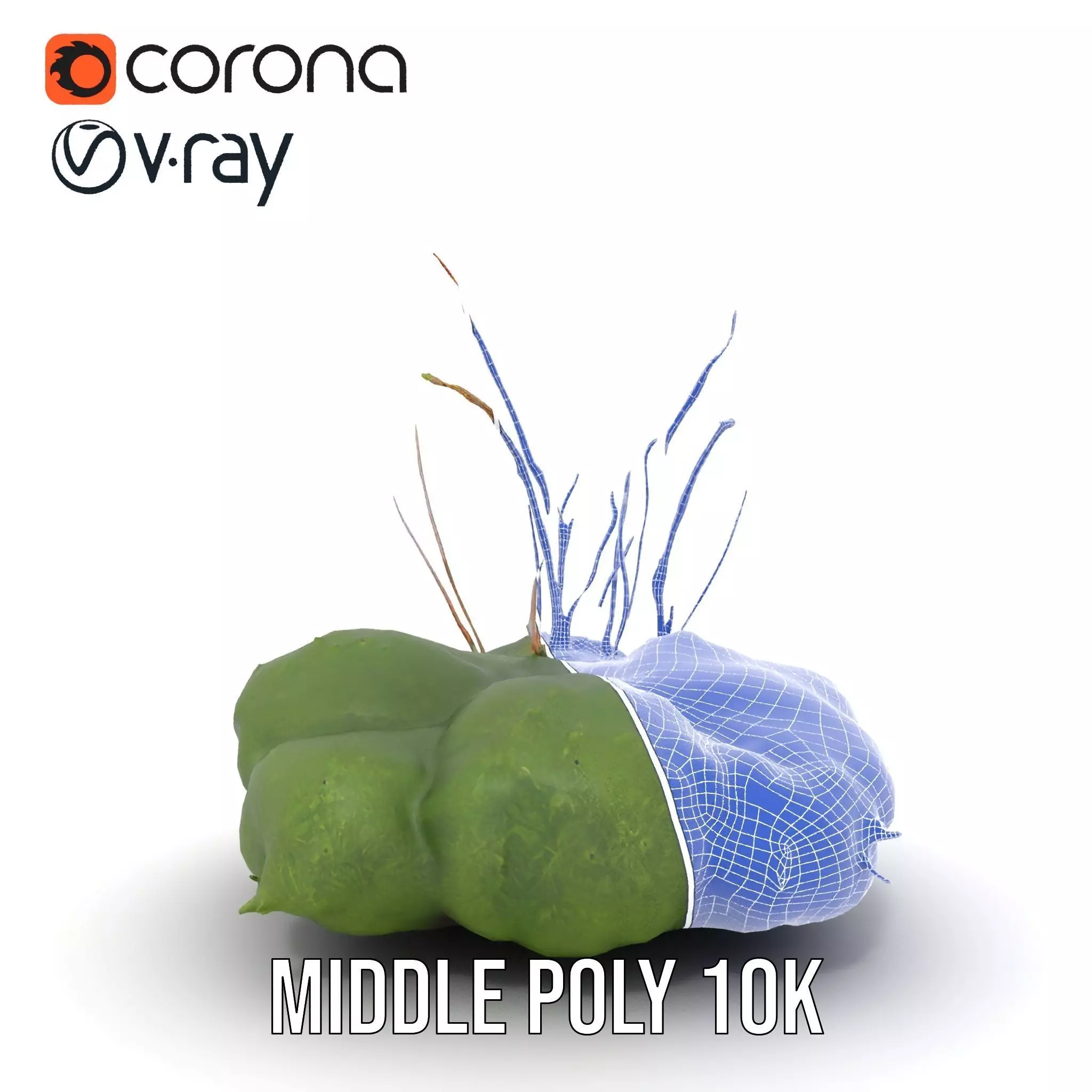 Lush Greenery Arrangement model pack Low-poly 3D model_29