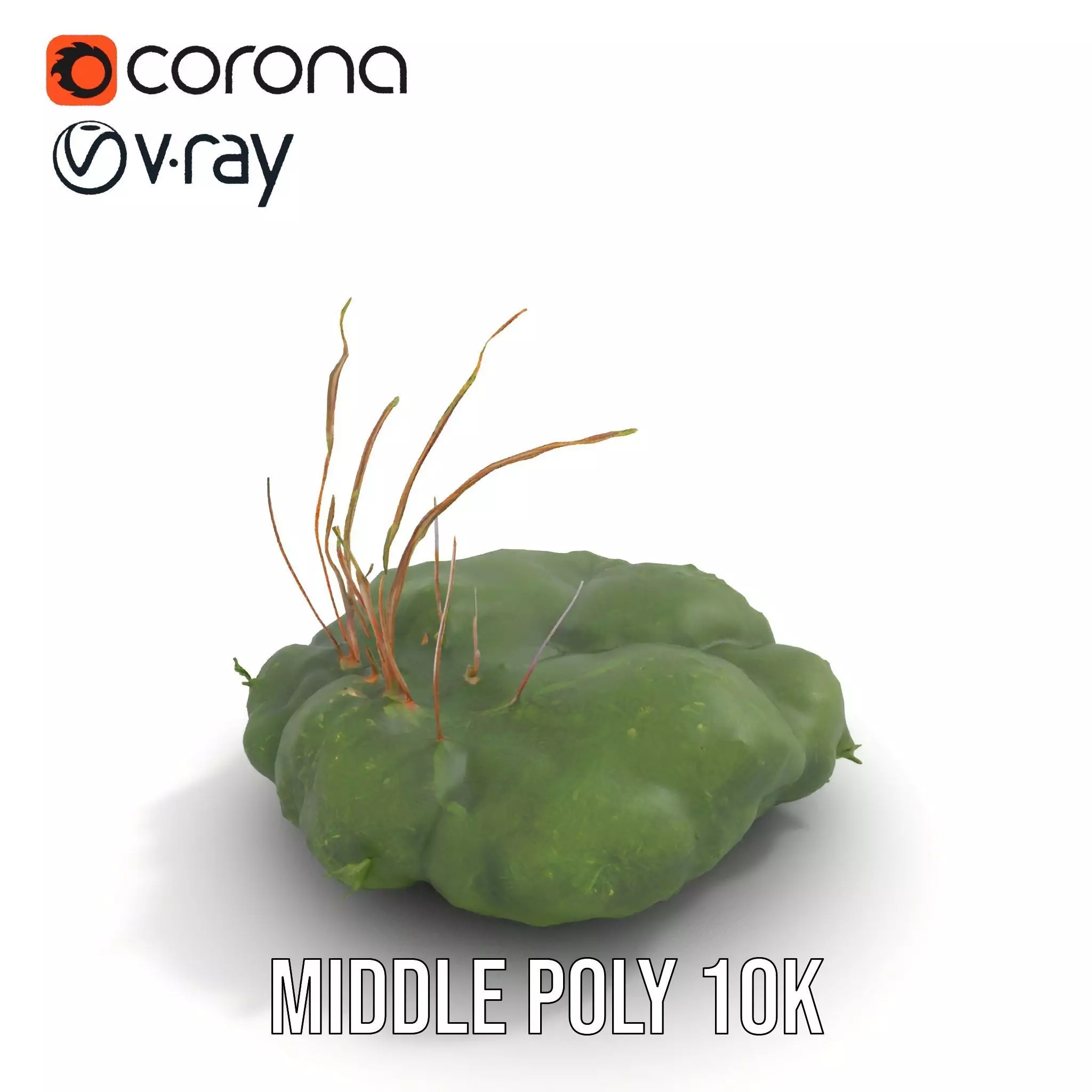 Lush Greenery Arrangement model pack Low-poly 3D model_5