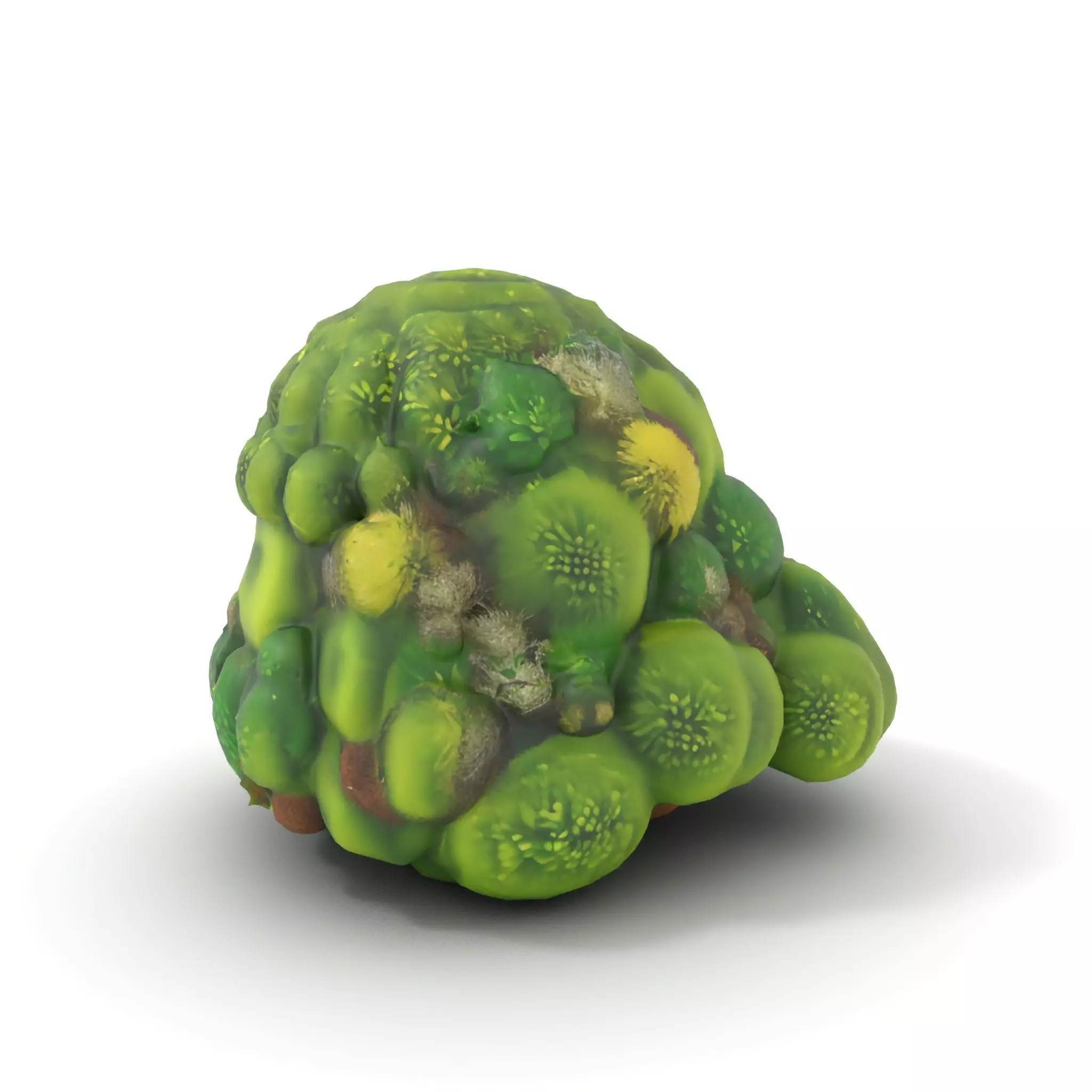 Lush Greenery Cluster model pack Low-poly 3D model_6