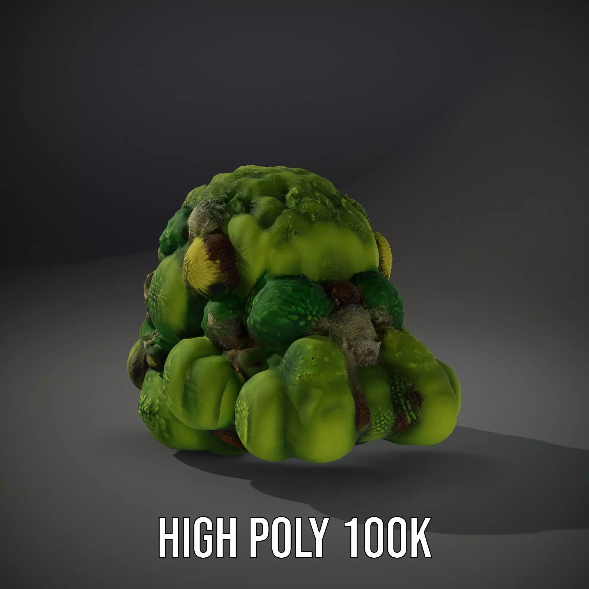 Lush Greenery Cluster model pack Low-poly 3D model_10
