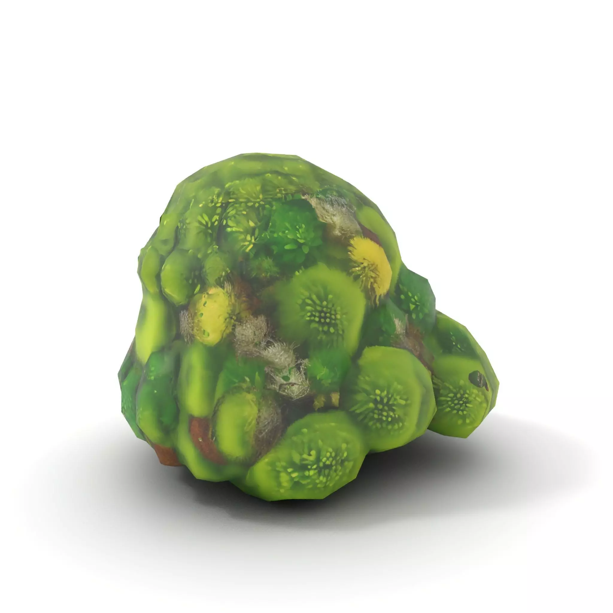 Lush Greenery Cluster model pack Low-poly 3D model_14