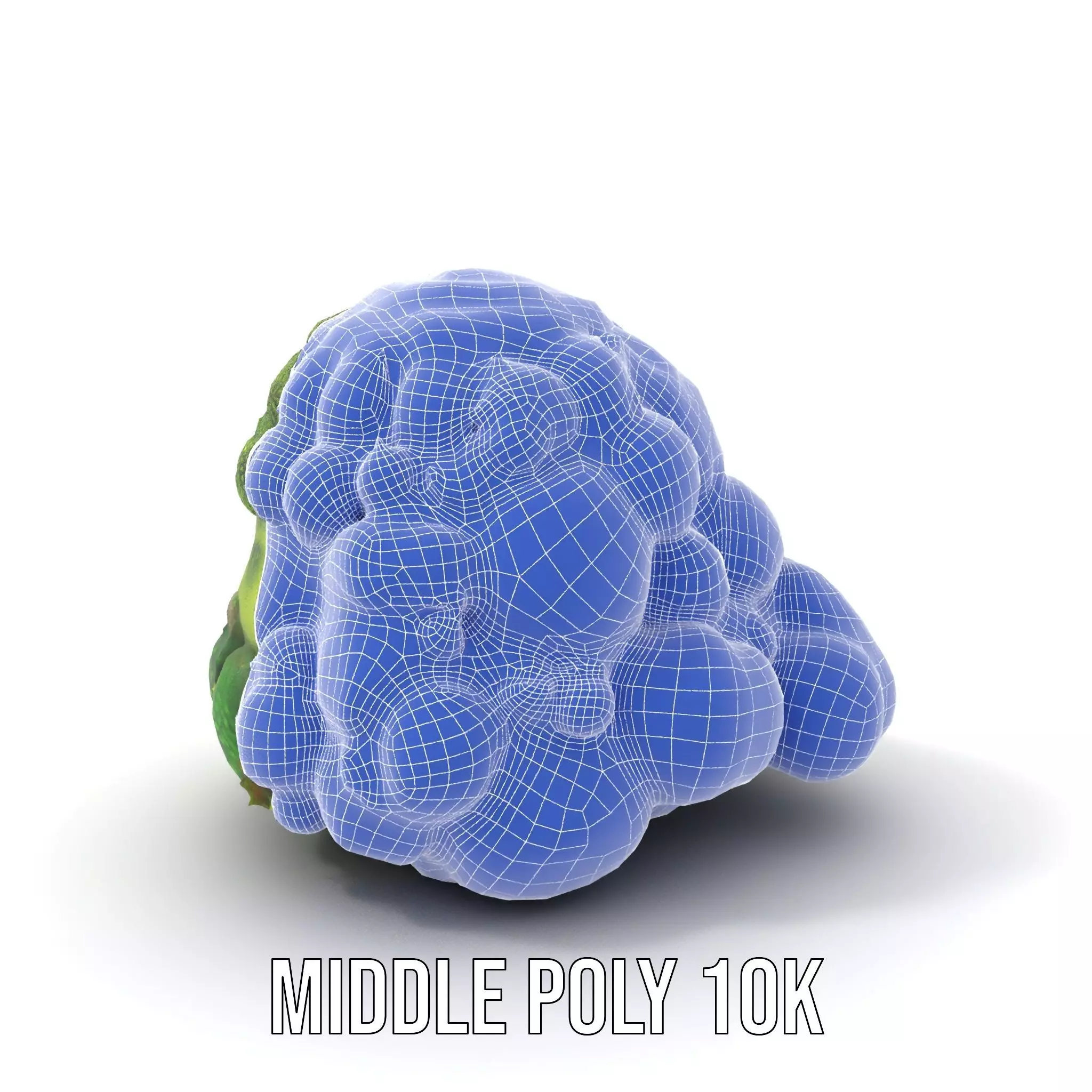 Lush Greenery Cluster model pack Low-poly 3D model_26
