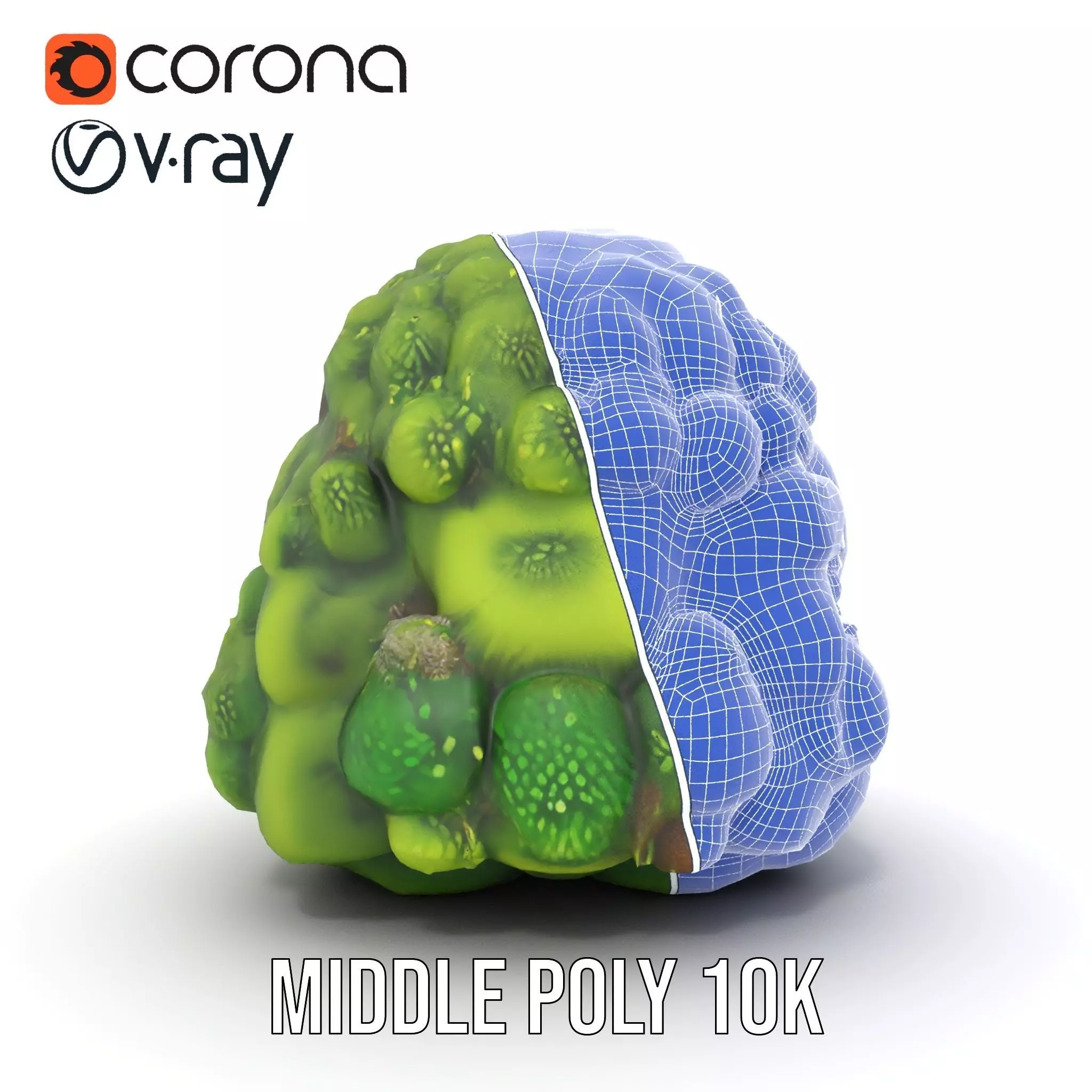 Lush Greenery Cluster model pack Low-poly 3D model_29