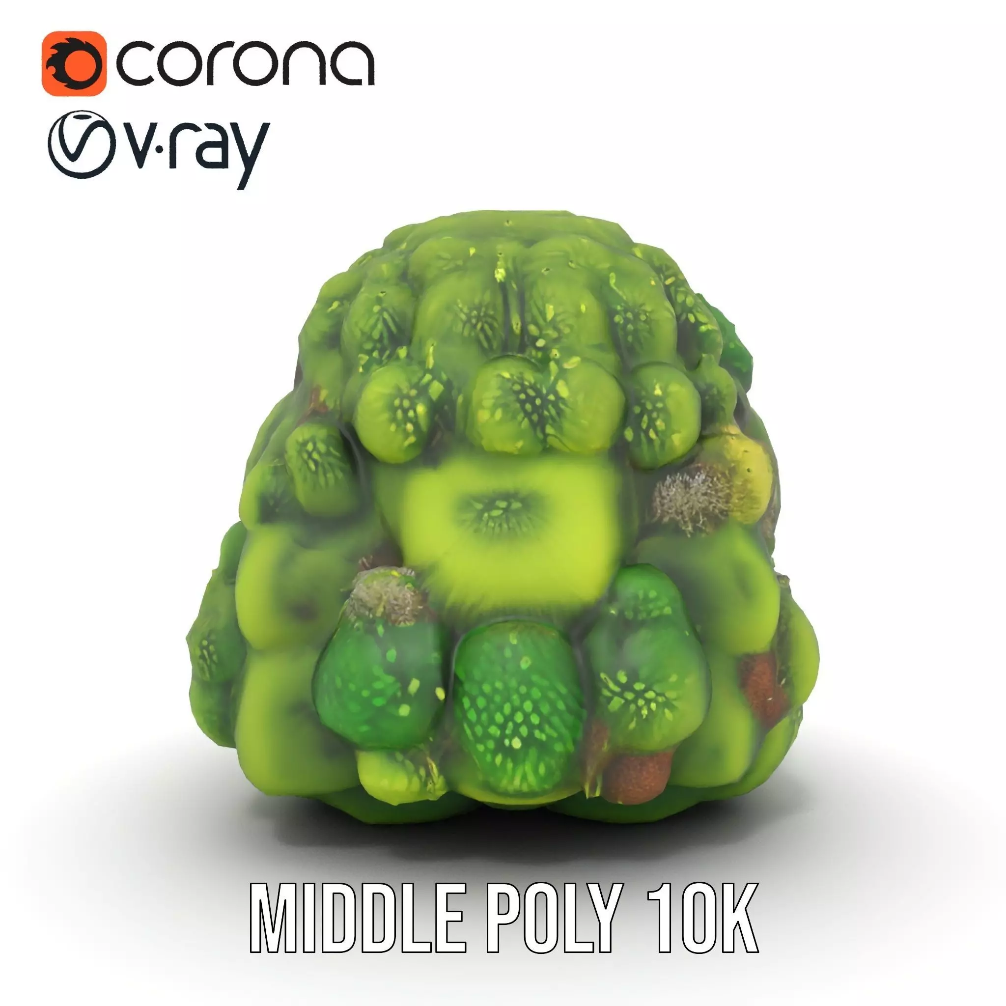 Lush Greenery Cluster model pack Low-poly 3D model_16