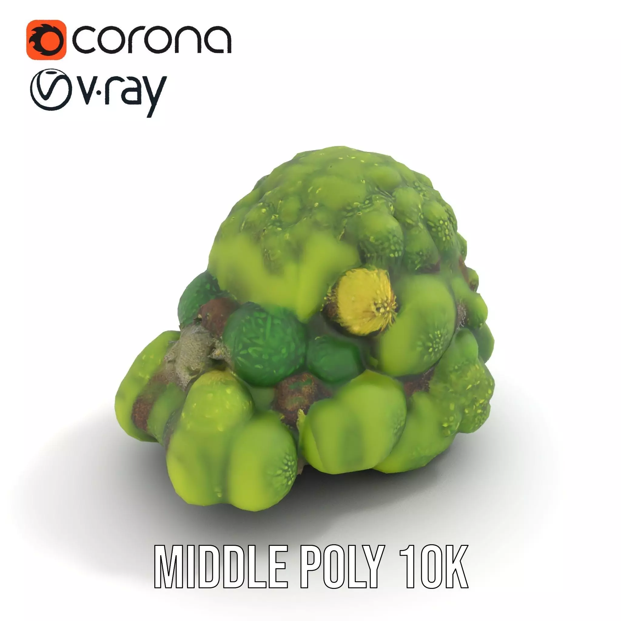 Lush Greenery Cluster model pack Low-poly 3D model_13