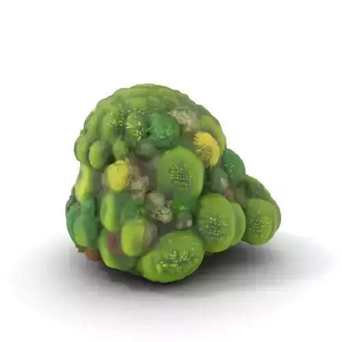 Lush Greenery Cluster model pack Low-poly 3D model