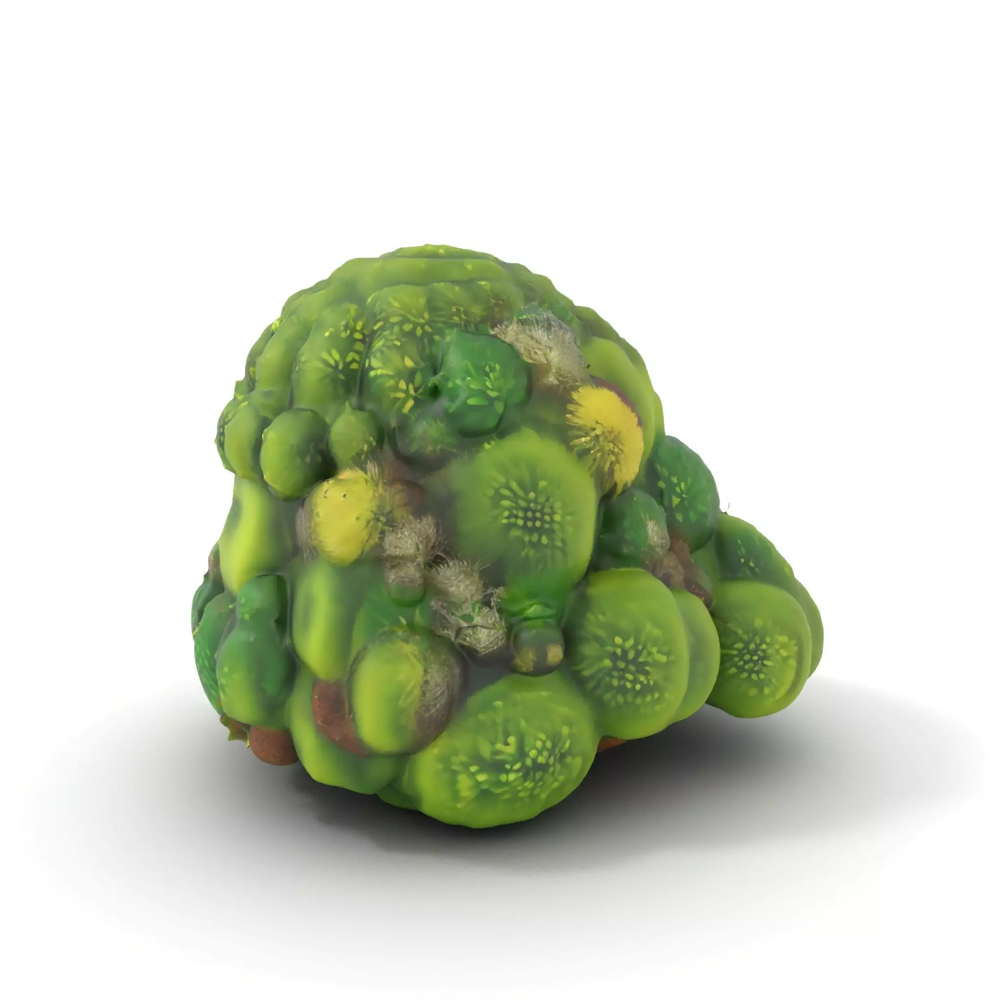 Lush Greenery Cluster model pack Low-poly 3D model_0