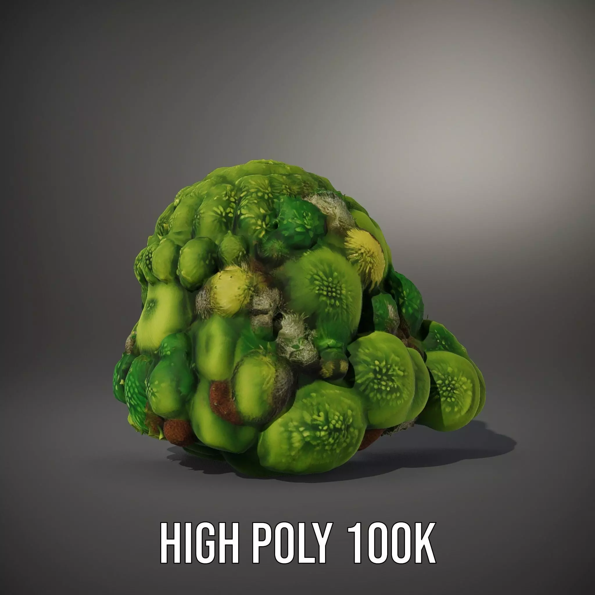 Lush Greenery Cluster model pack Low-poly 3D model_8