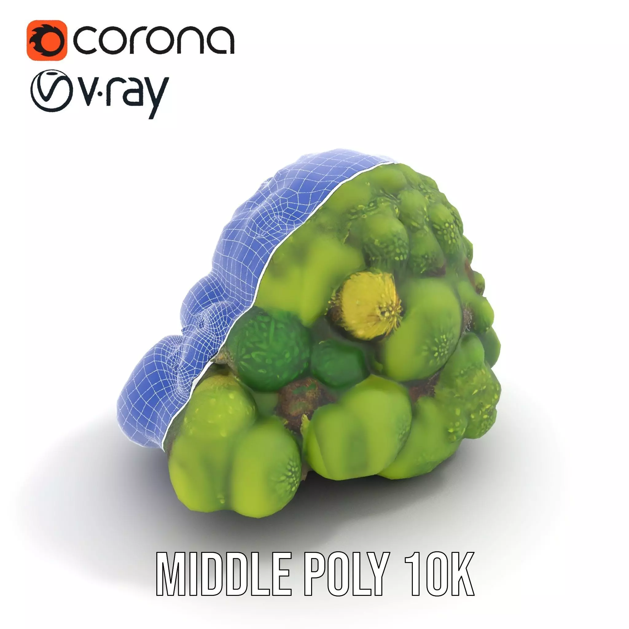 Lush Greenery Cluster model pack Low-poly 3D model_21