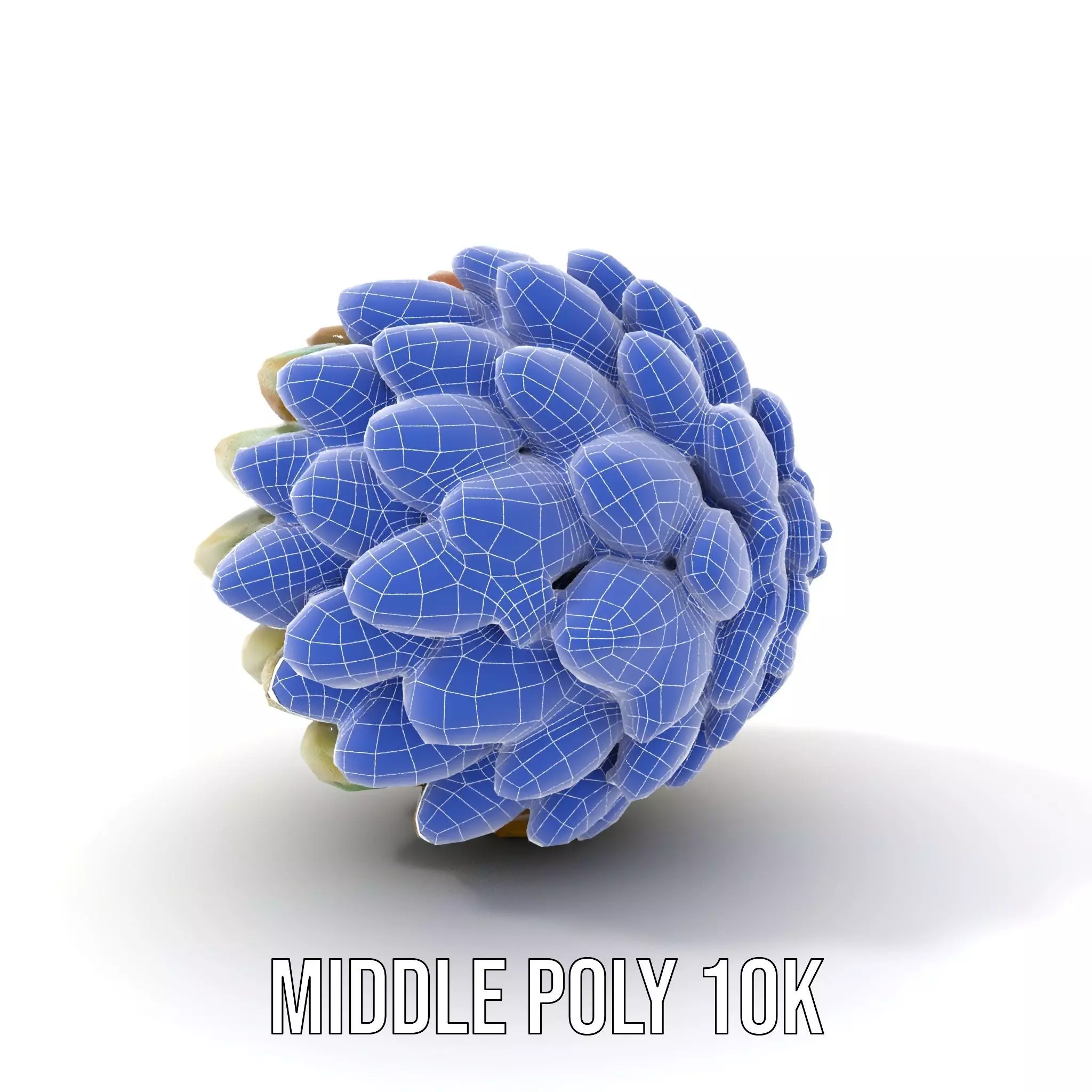 Iridescent Pinecone model pack Low-poly 3D model_5