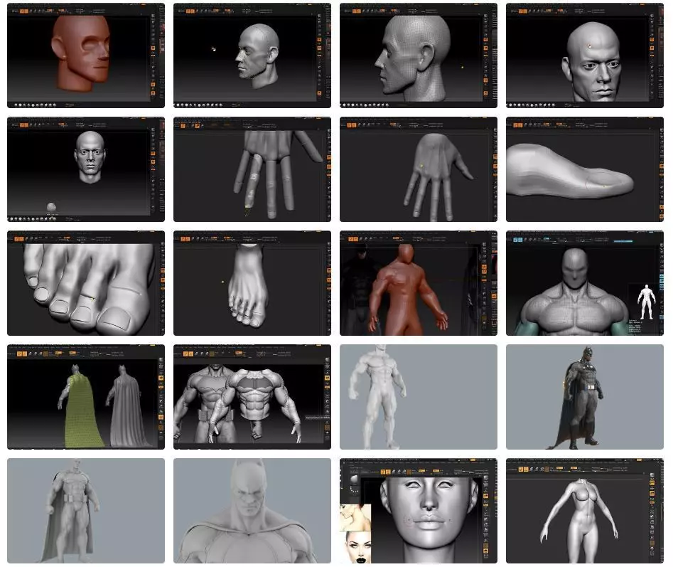 Pack Learn and Master Zbrush and Sculpt Epic Characters 3D model_3