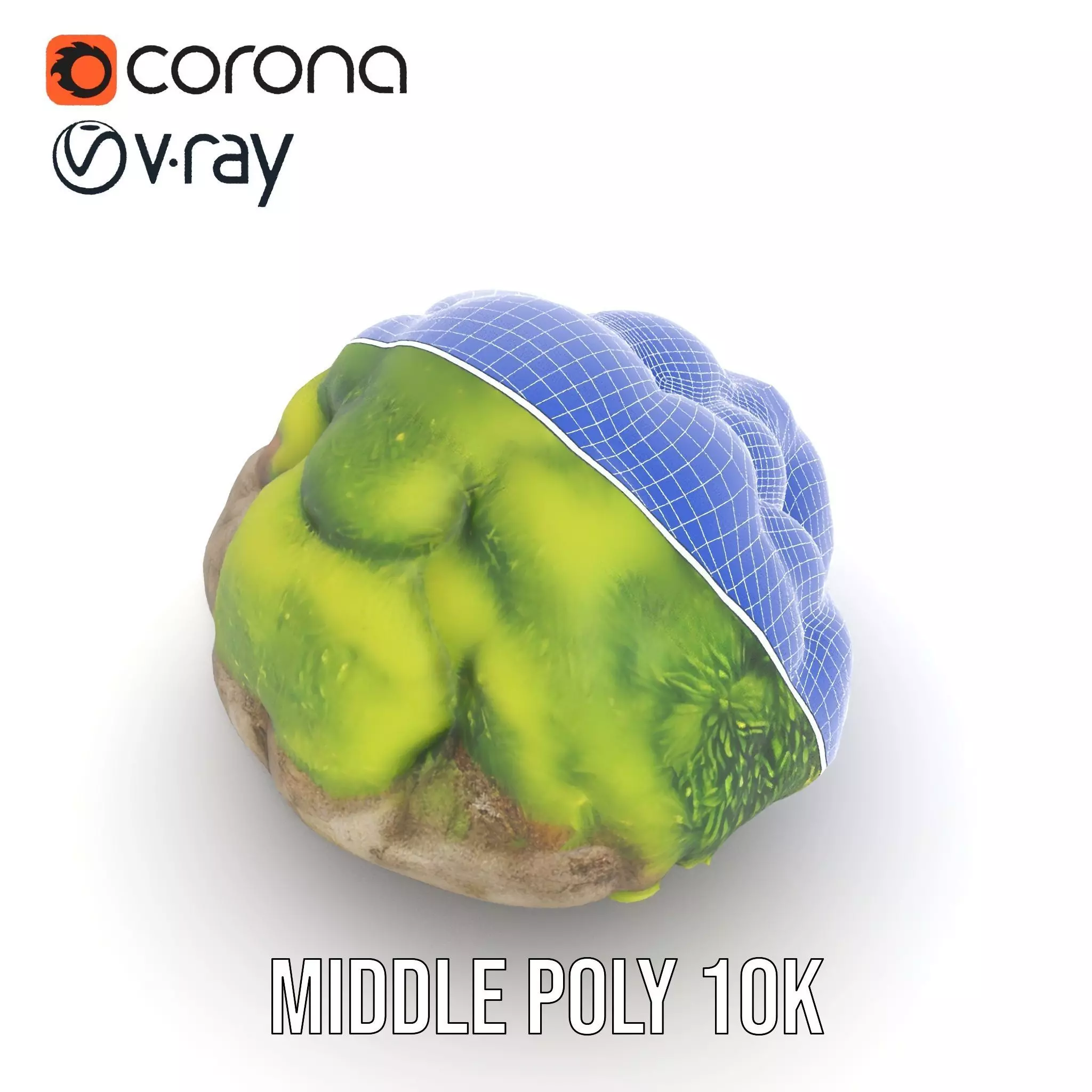 Green Mossy Rock model pack Texture_24