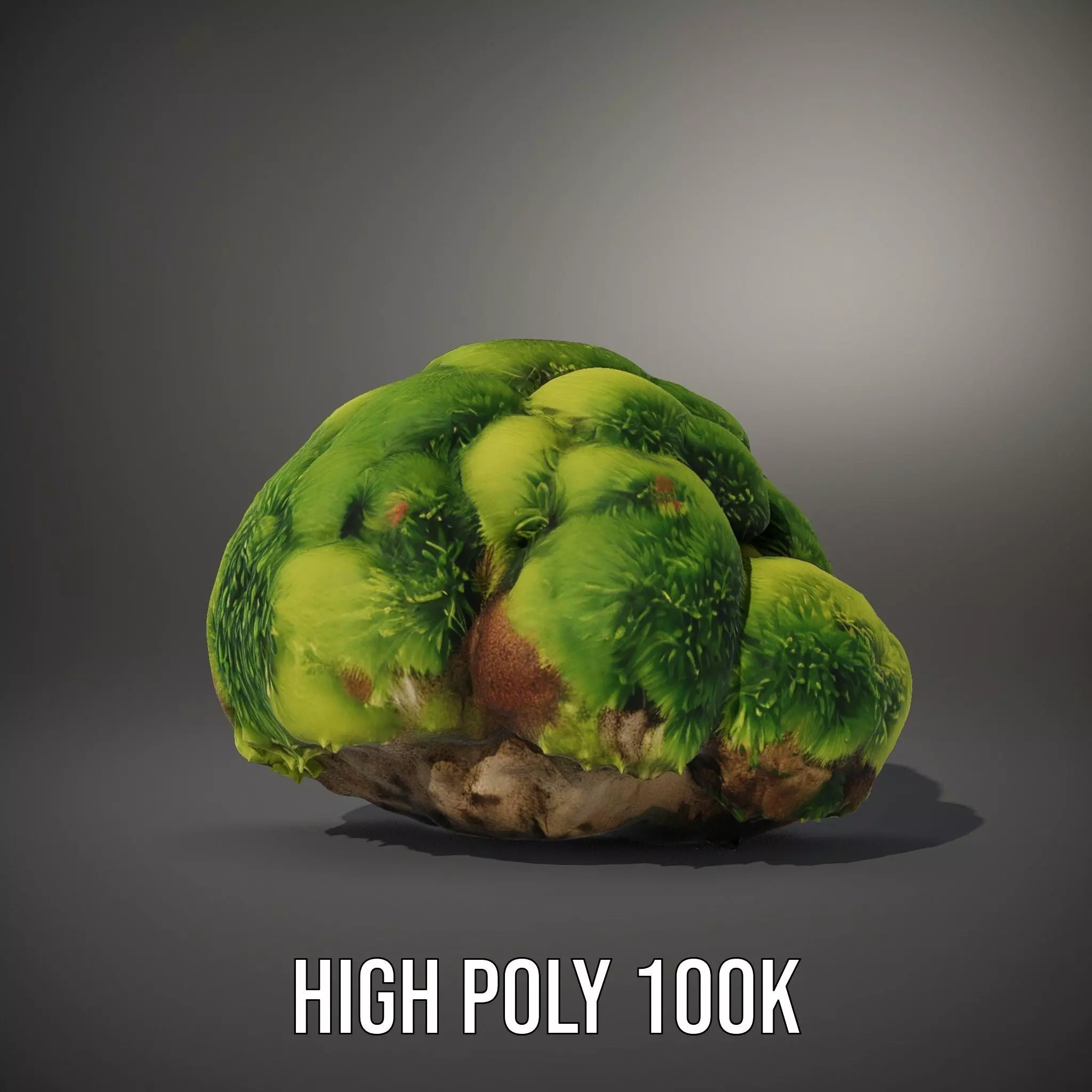 Green Mossy Rock model pack Texture_8