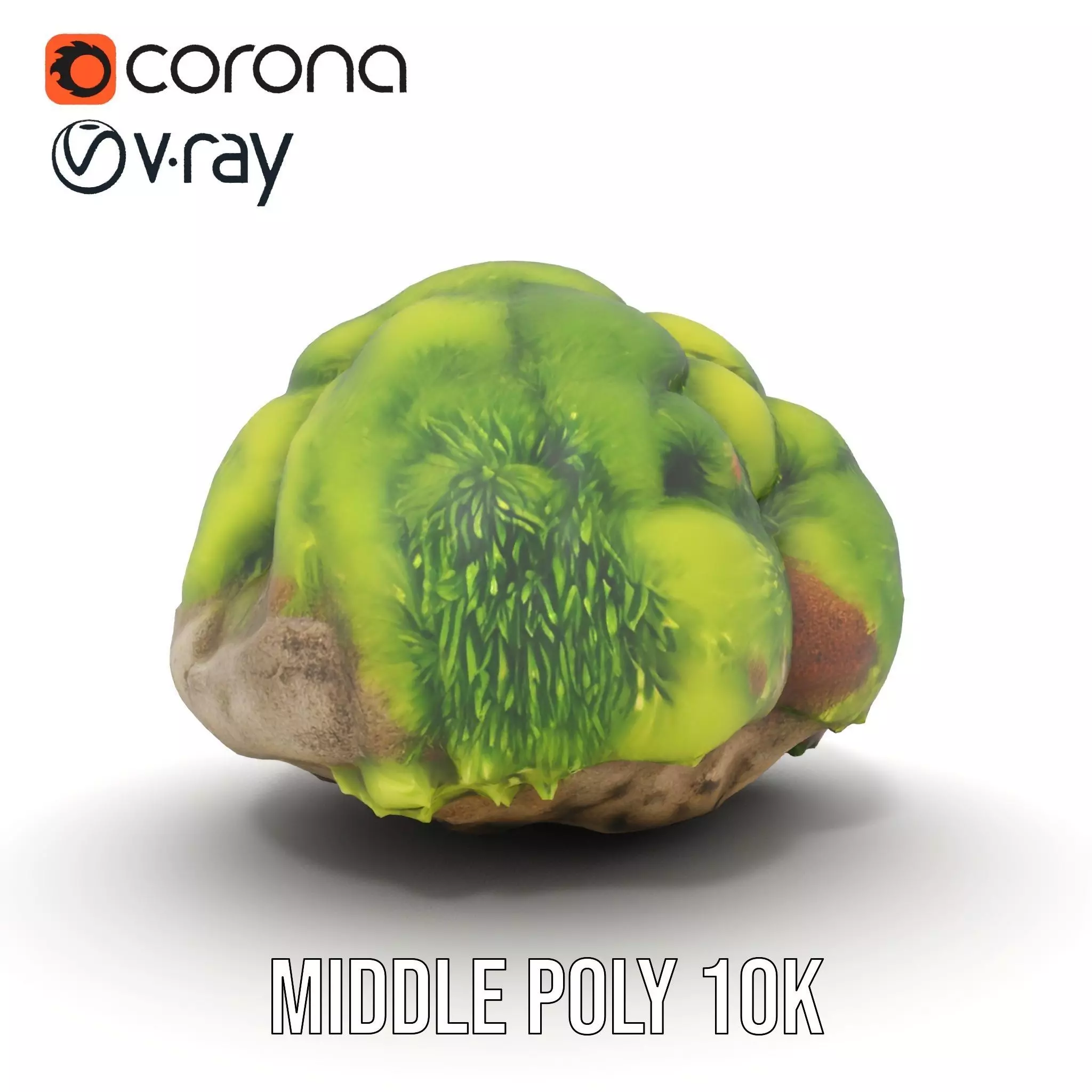 Green Mossy Rock model pack Texture_18