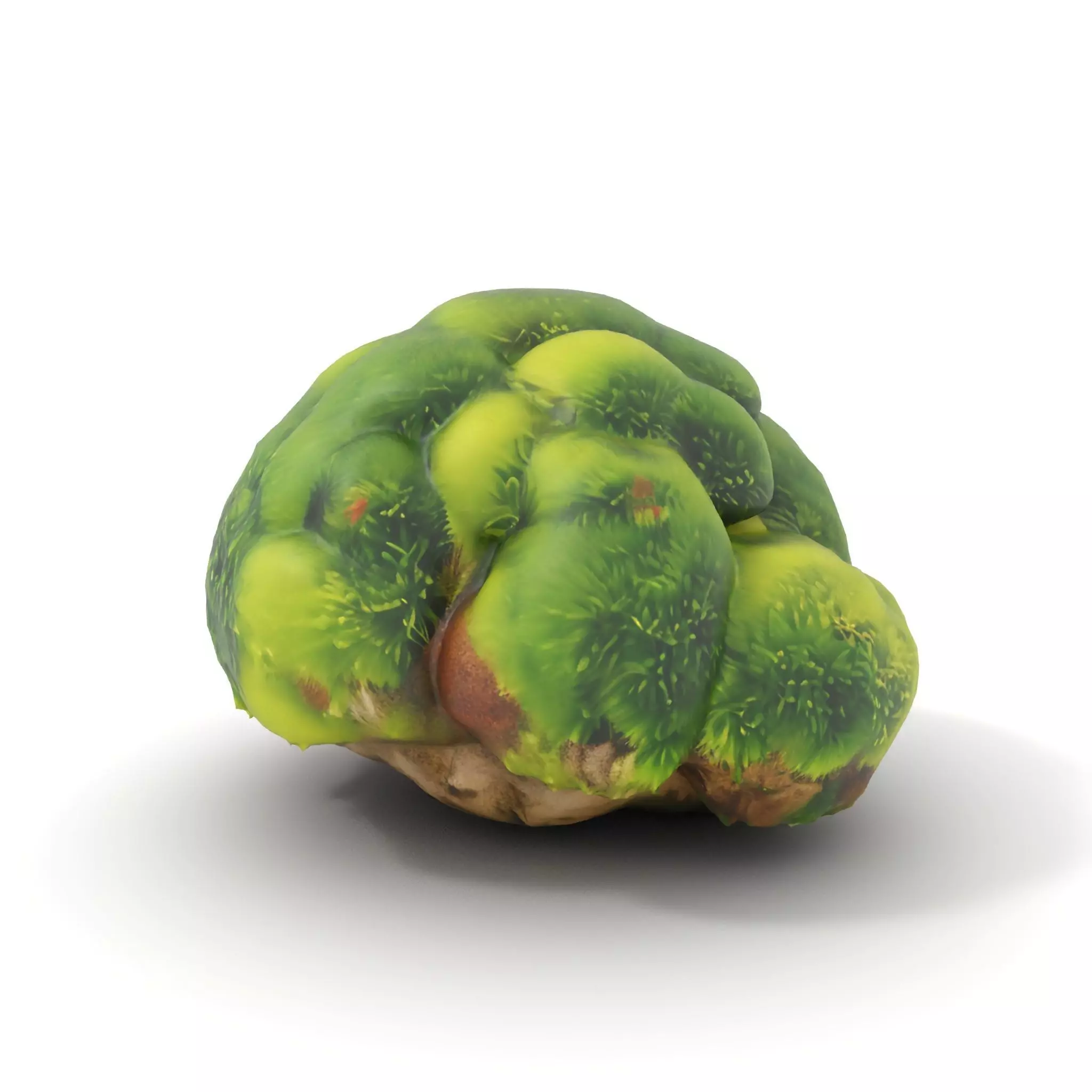 Green Mossy Rock model pack Texture_13