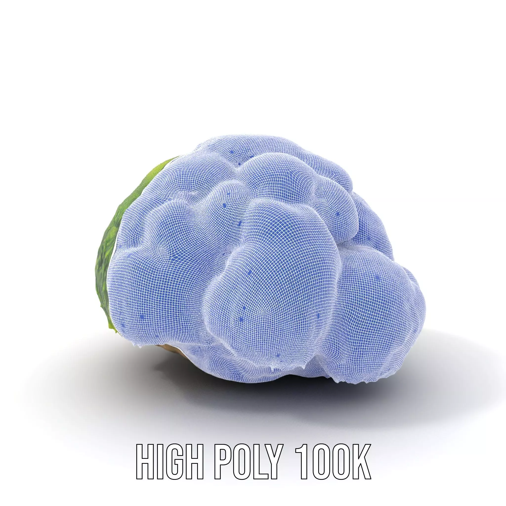 Green Mossy Rock model pack Texture_4