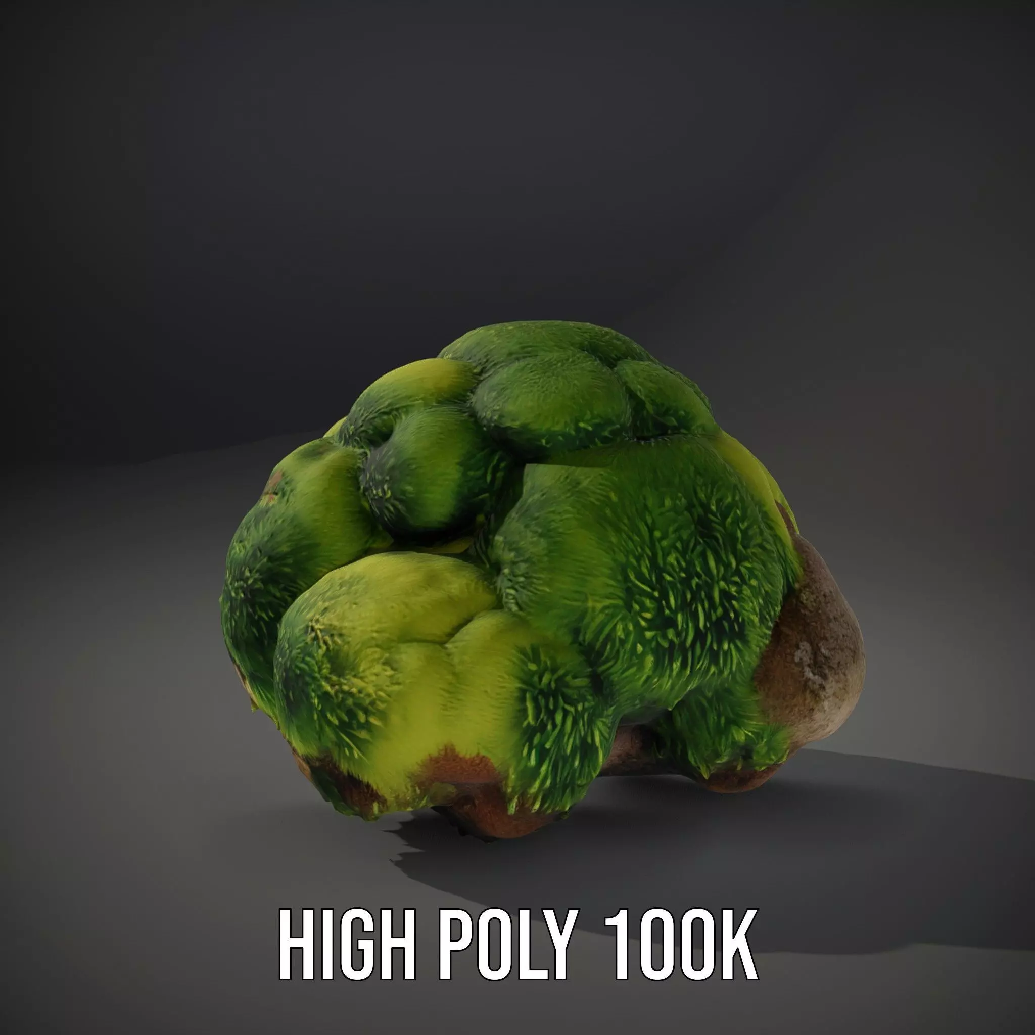 Green Mossy Rock model pack Texture_10