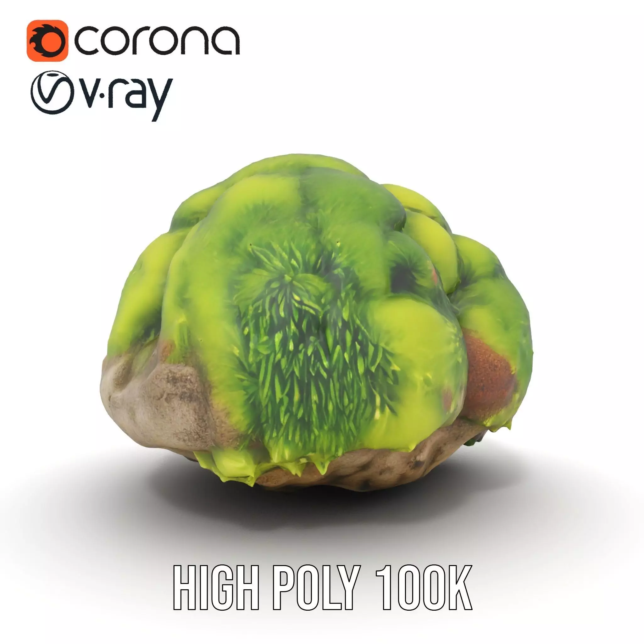 Green Mossy Rock model pack Texture_20