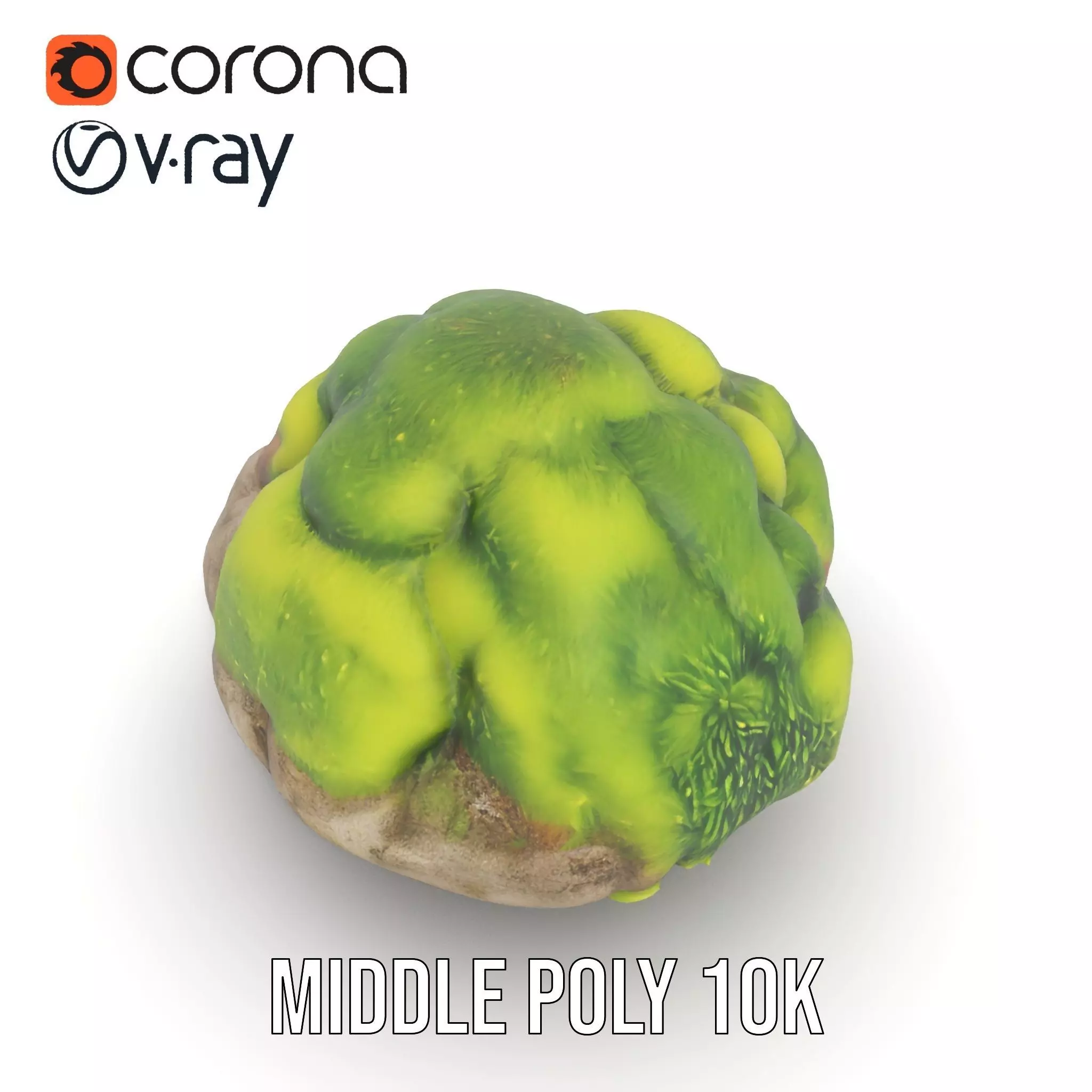 Green Mossy Rock model pack Texture_11