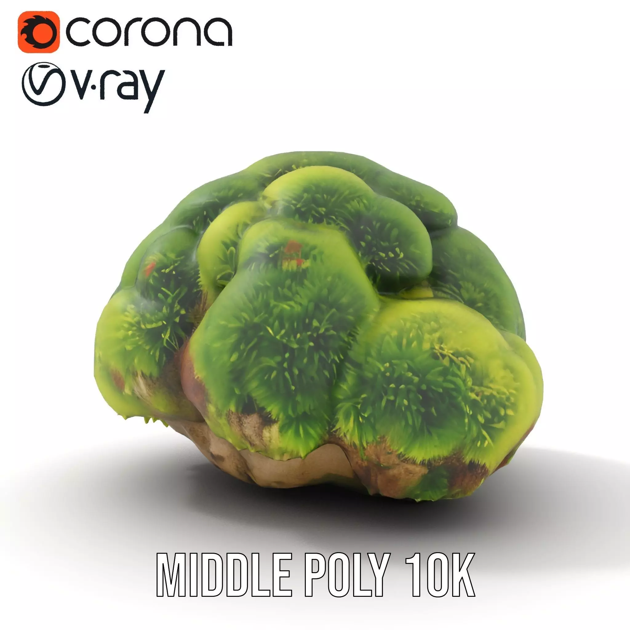 Green Mossy Rock model pack Texture_5