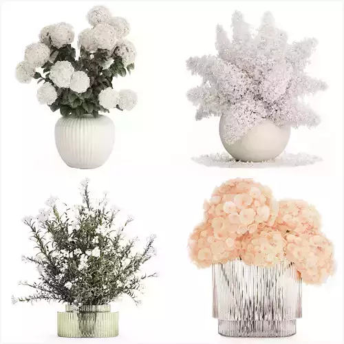 Collection white realistic bouquets of hydrangea 617