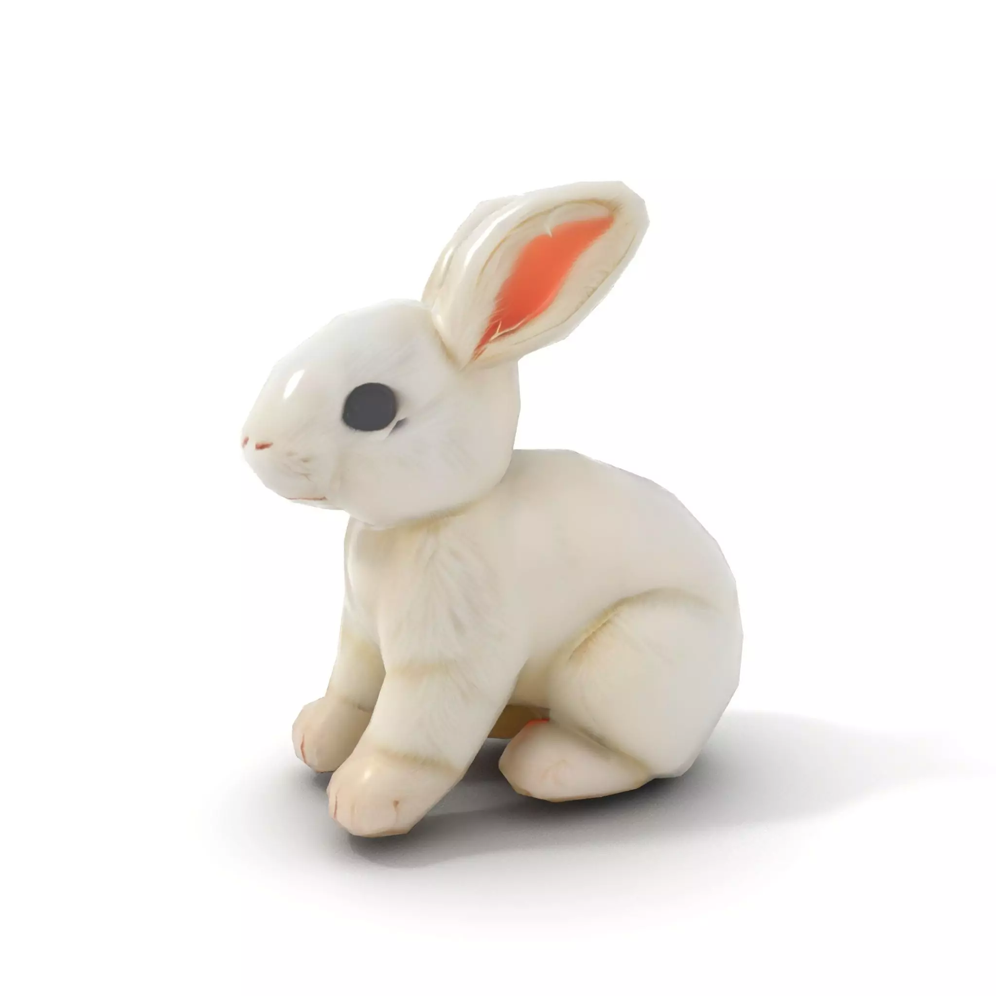 Fluffy White Rabbit model pack Low-poly 3D model_12