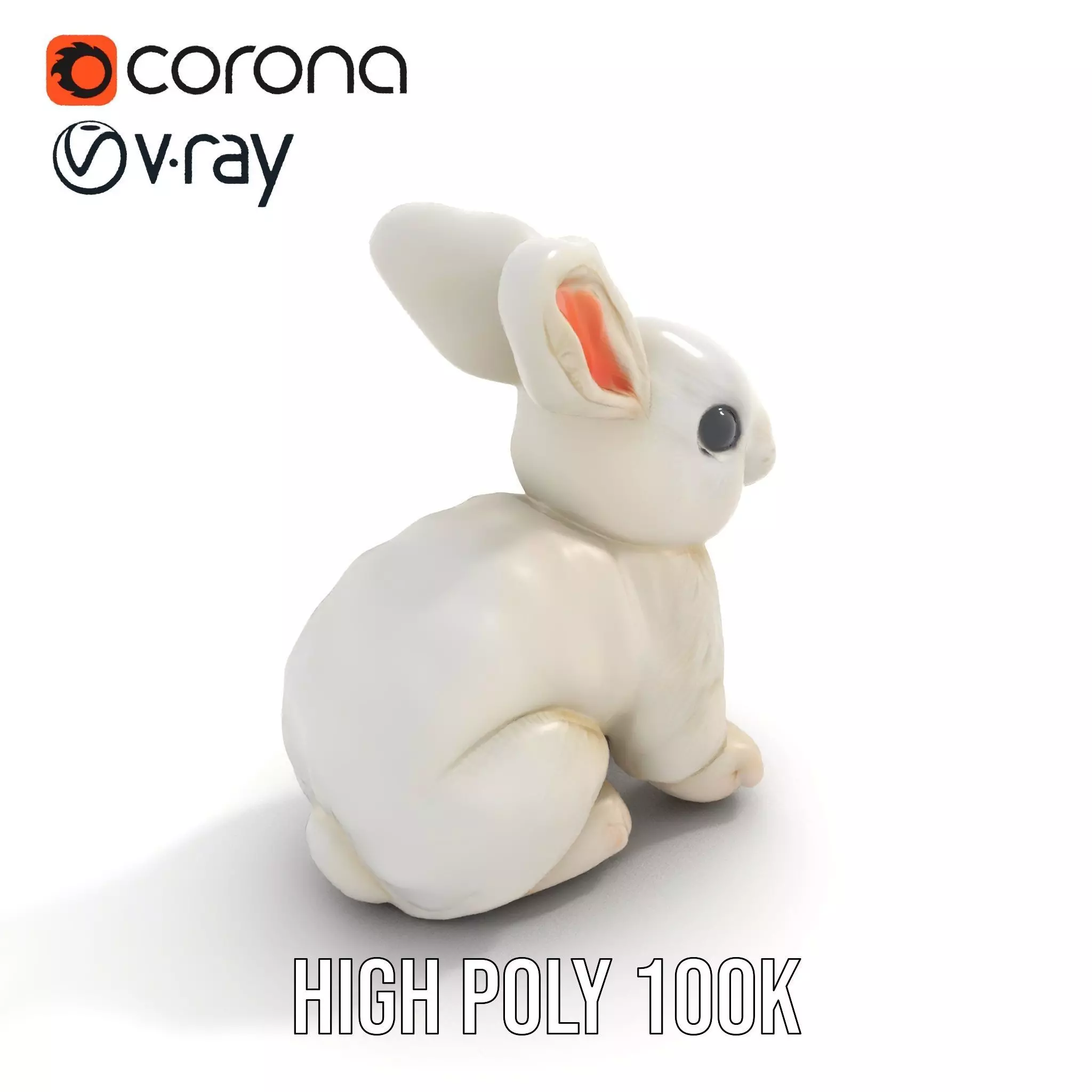 Fluffy White Rabbit model pack Low-poly 3D model_23