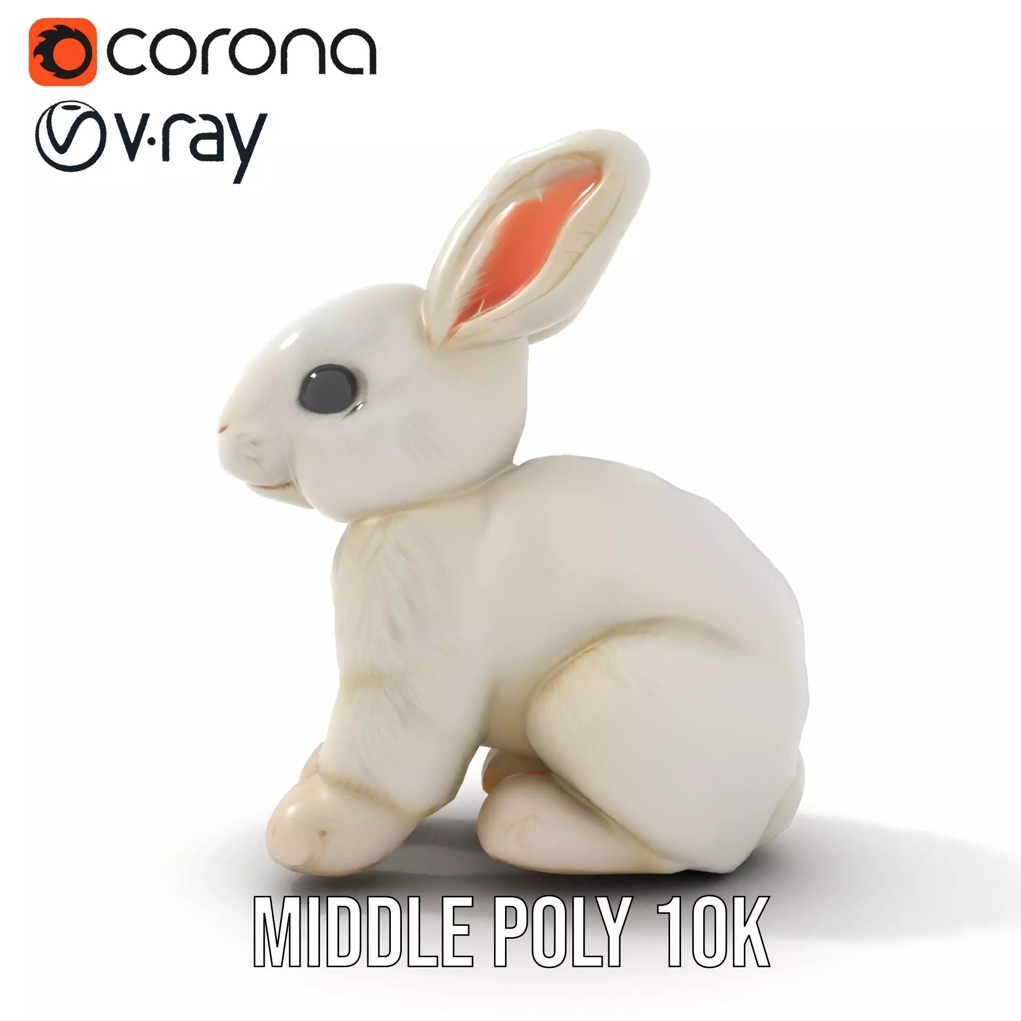Fluffy White Rabbit model pack Low-poly 3D model_11