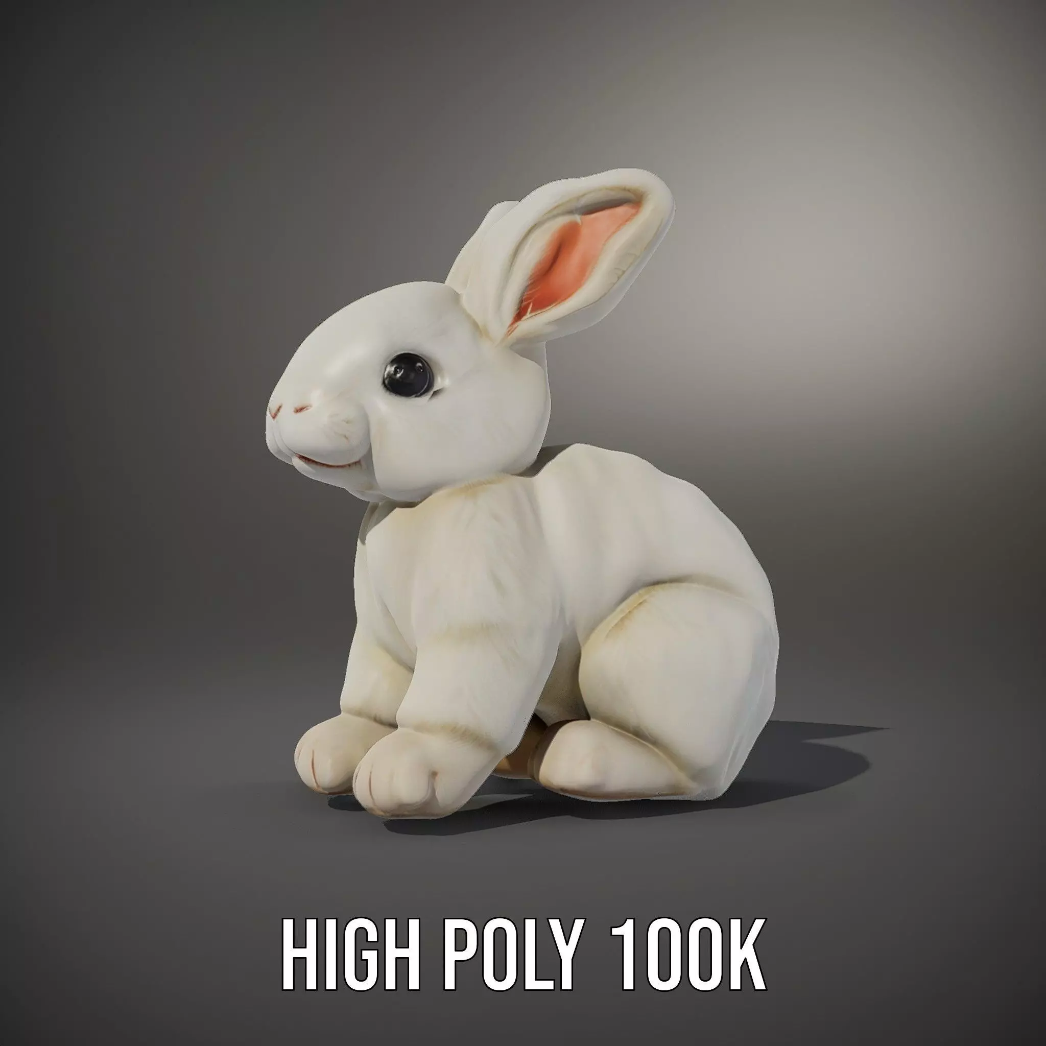 Fluffy White Rabbit model pack Low-poly 3D model_8