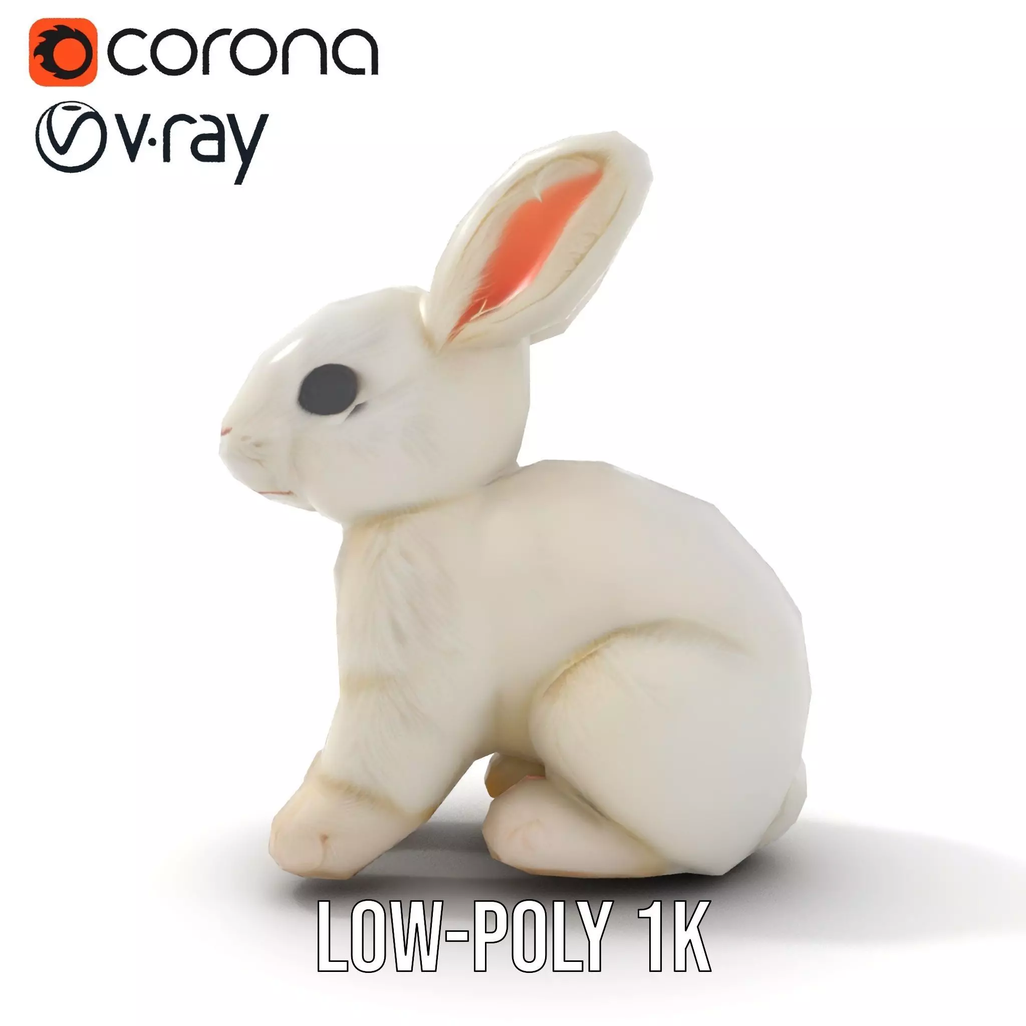 Fluffy White Rabbit model pack Low-poly 3D model_14