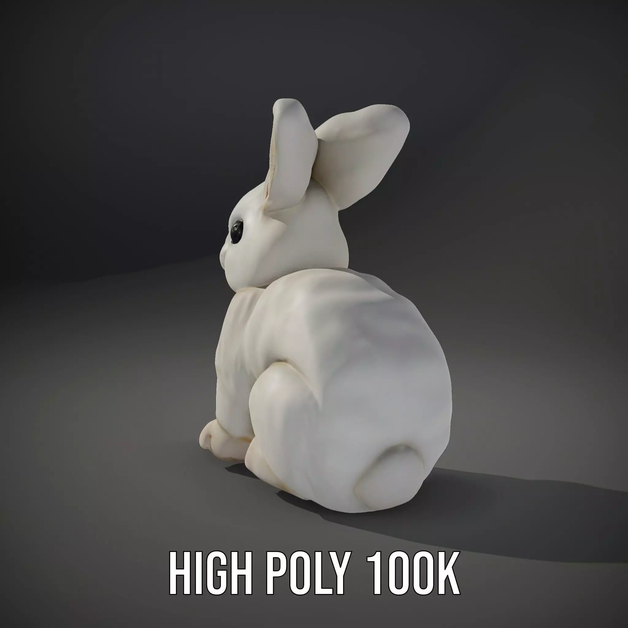 Fluffy White Rabbit model pack Low-poly 3D model_10