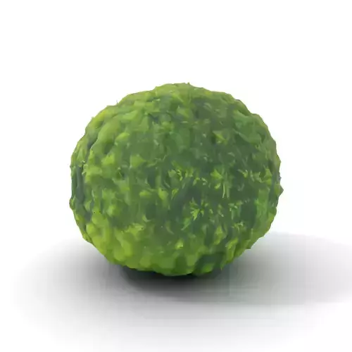 Verdant Sphere Moss model pack Low-poly 3D model