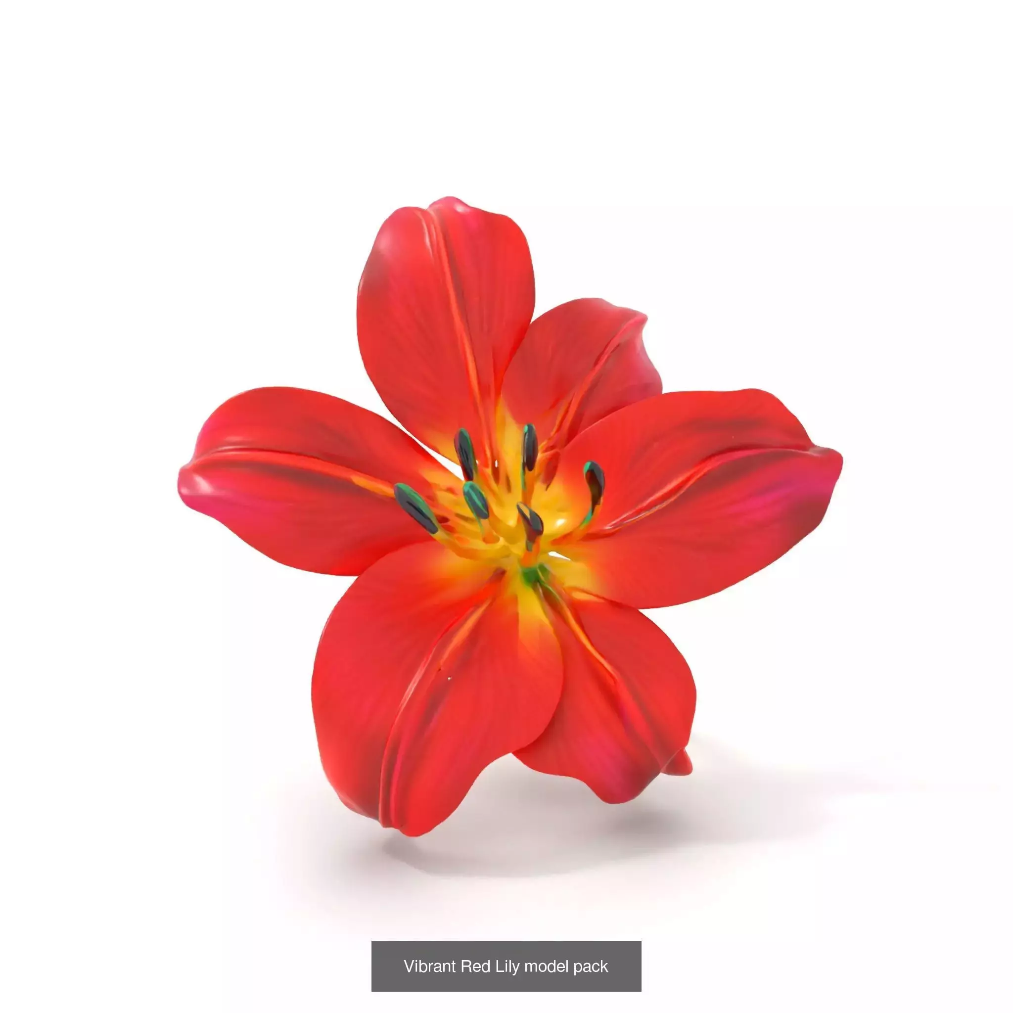 Extraterrestrial Flora Collection _50