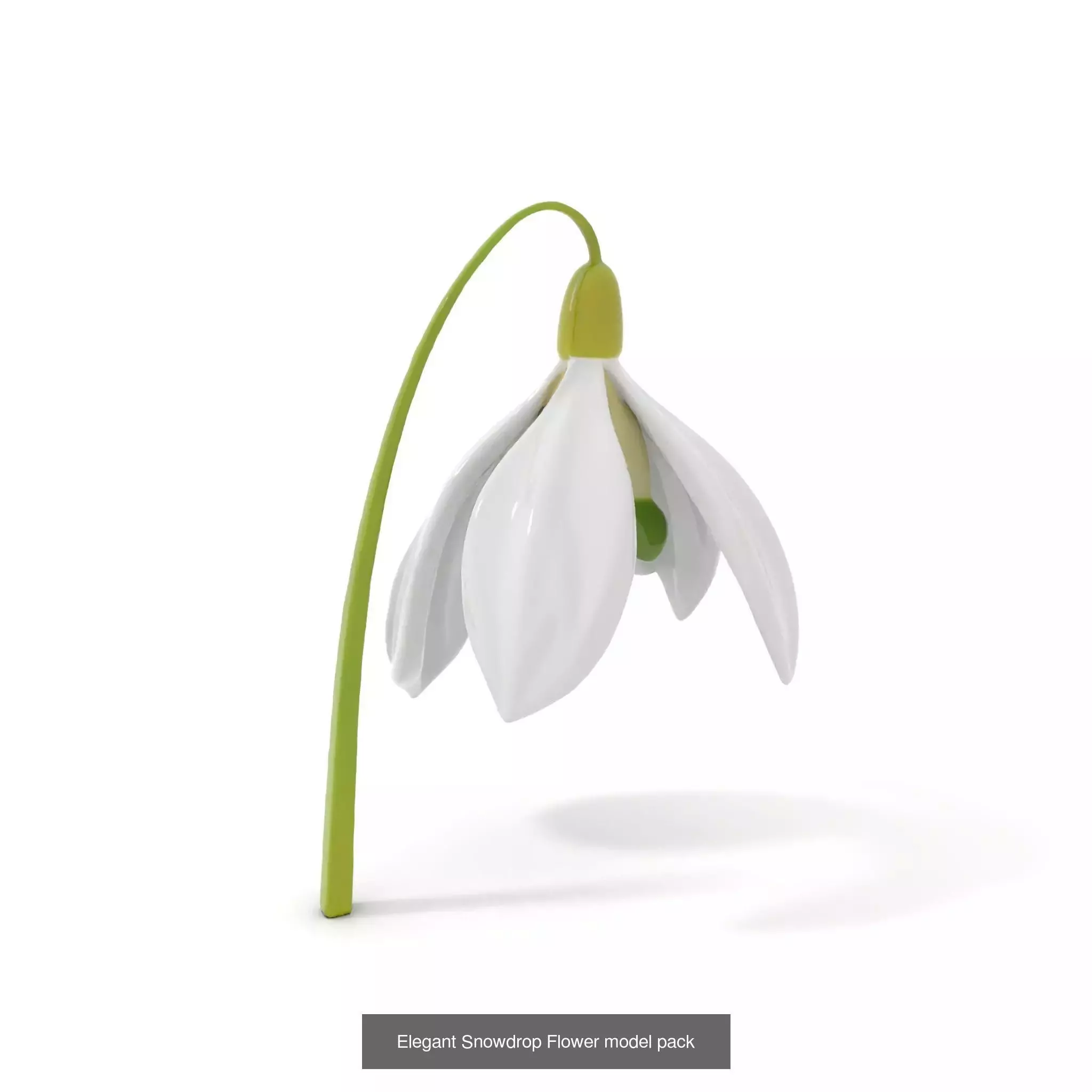 Extraterrestrial Flora Collection _41