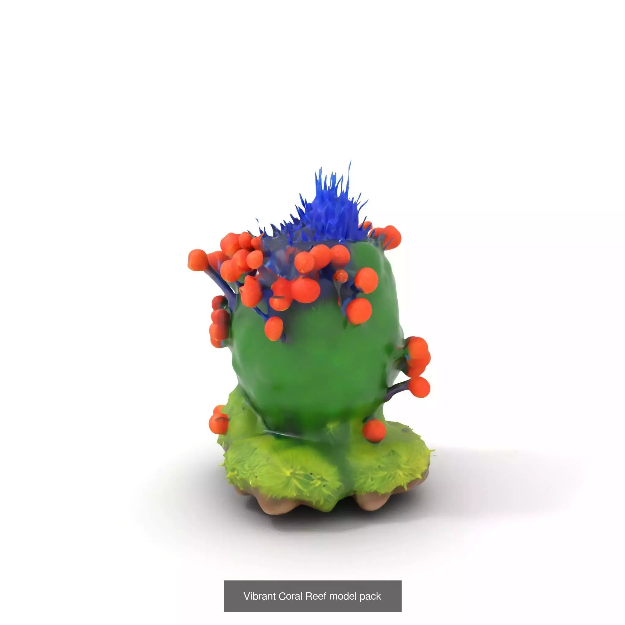 Extraterrestrial Flora Collection _44