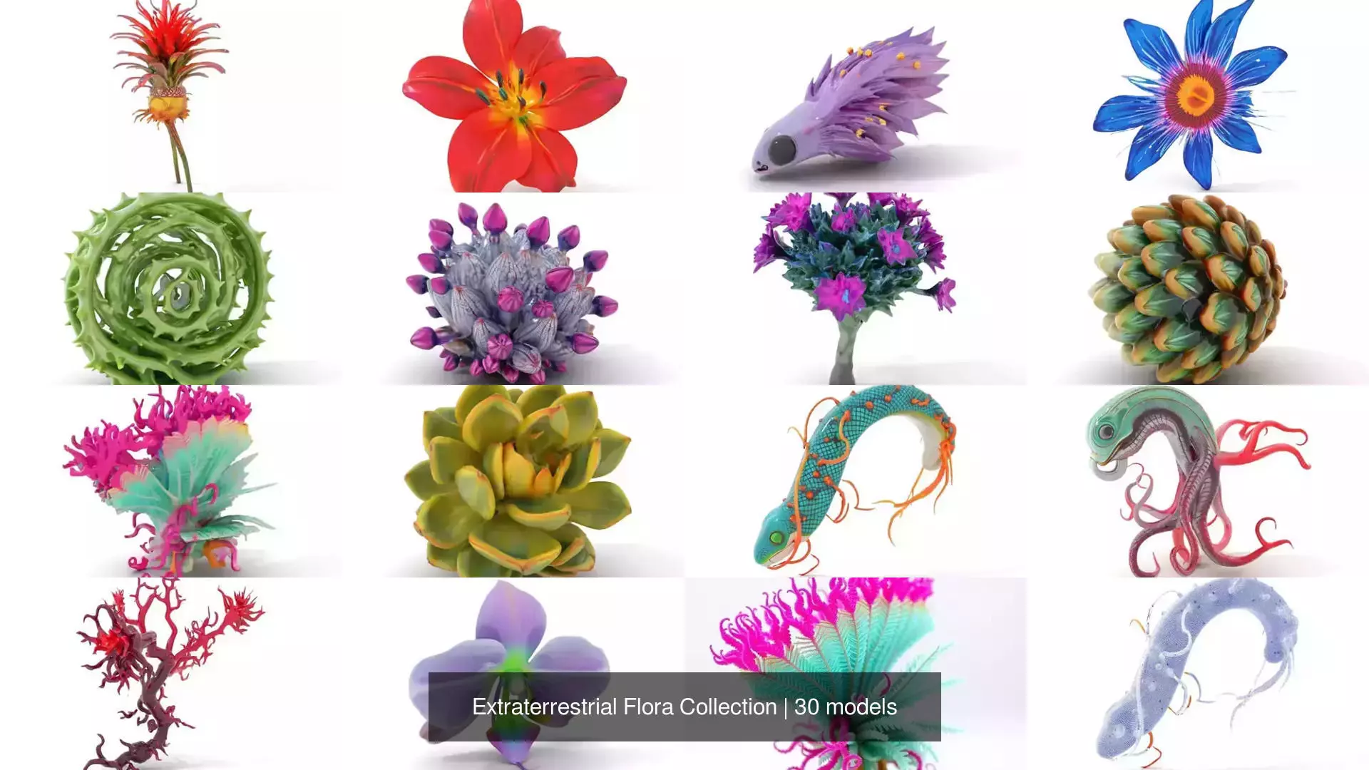 Extraterrestrial Flora Collection _32
