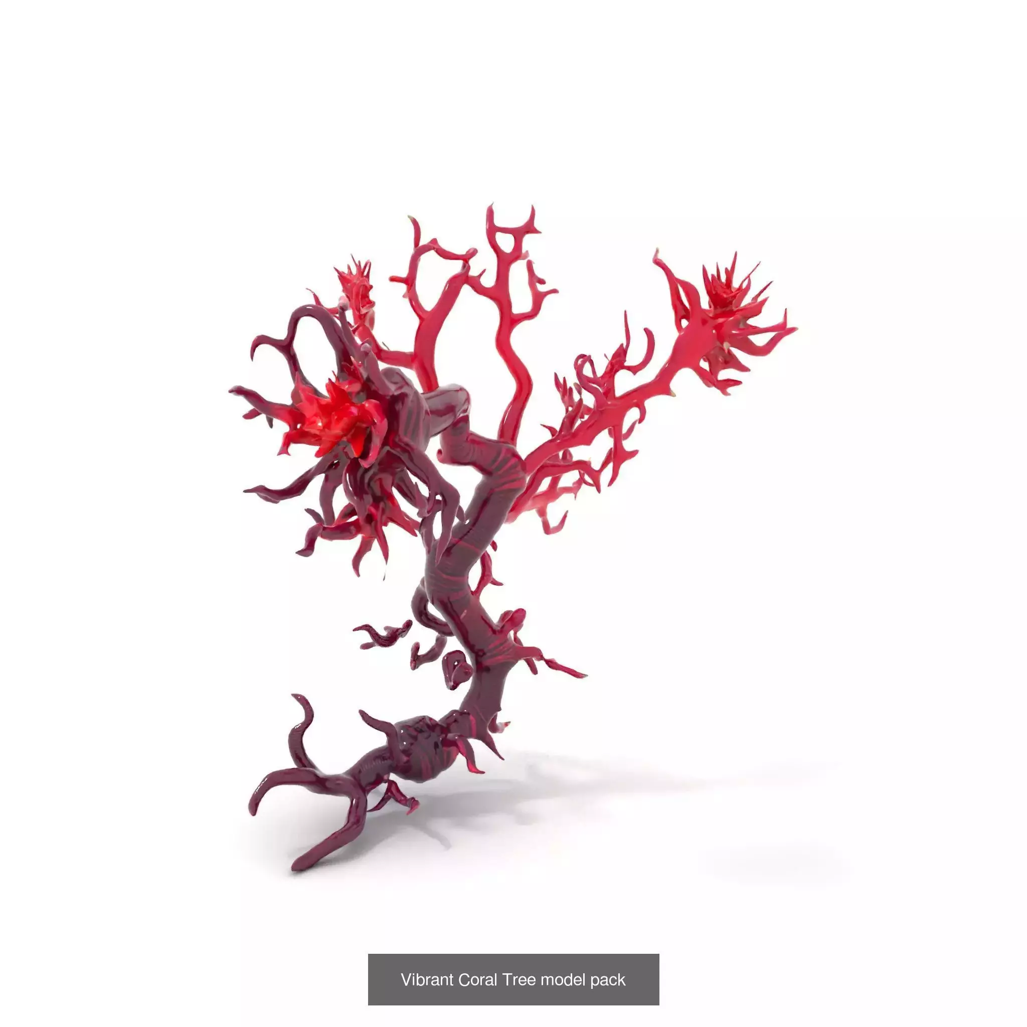 Extraterrestrial Flora Collection _61