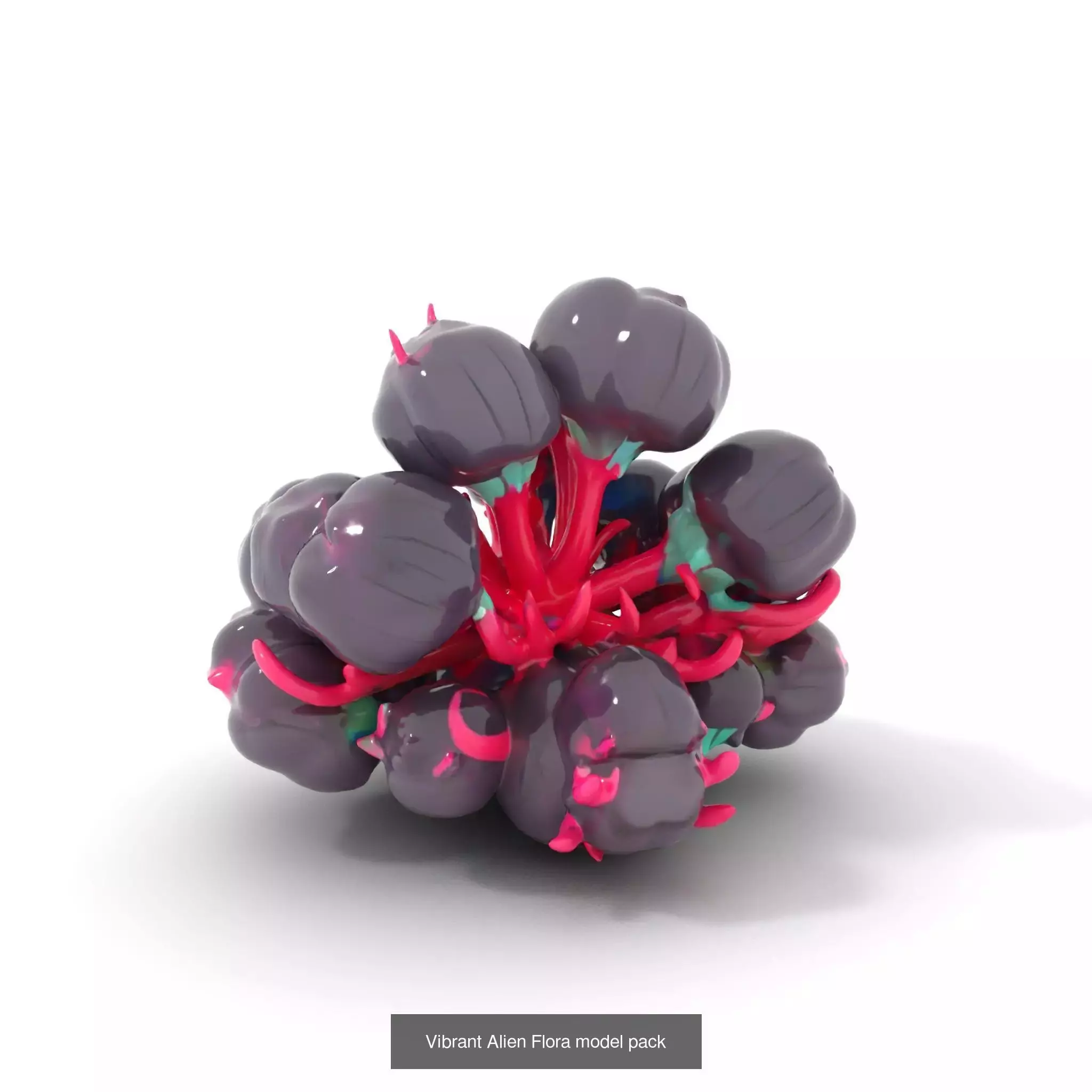 Extraterrestrial Flora Collection _46