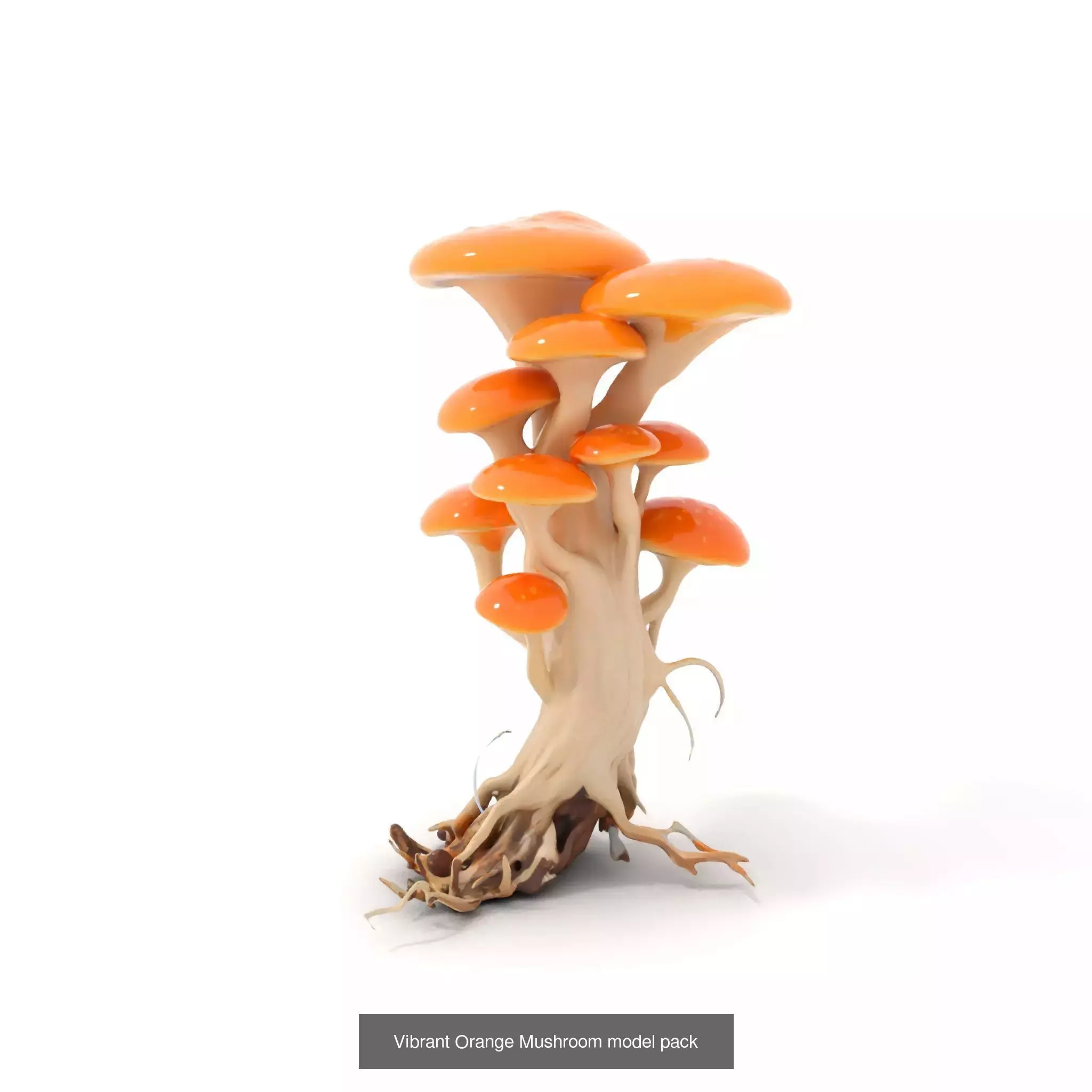 Extraterrestrial Flora Collection _47