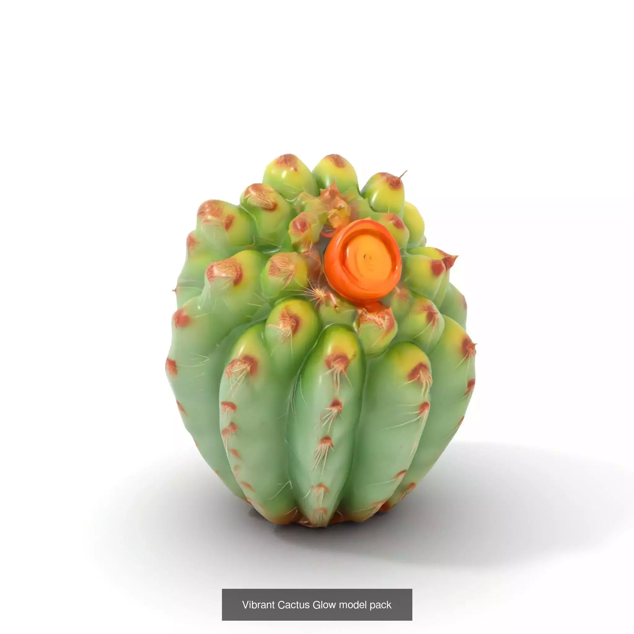 Extraterrestrial Flora Collection _40