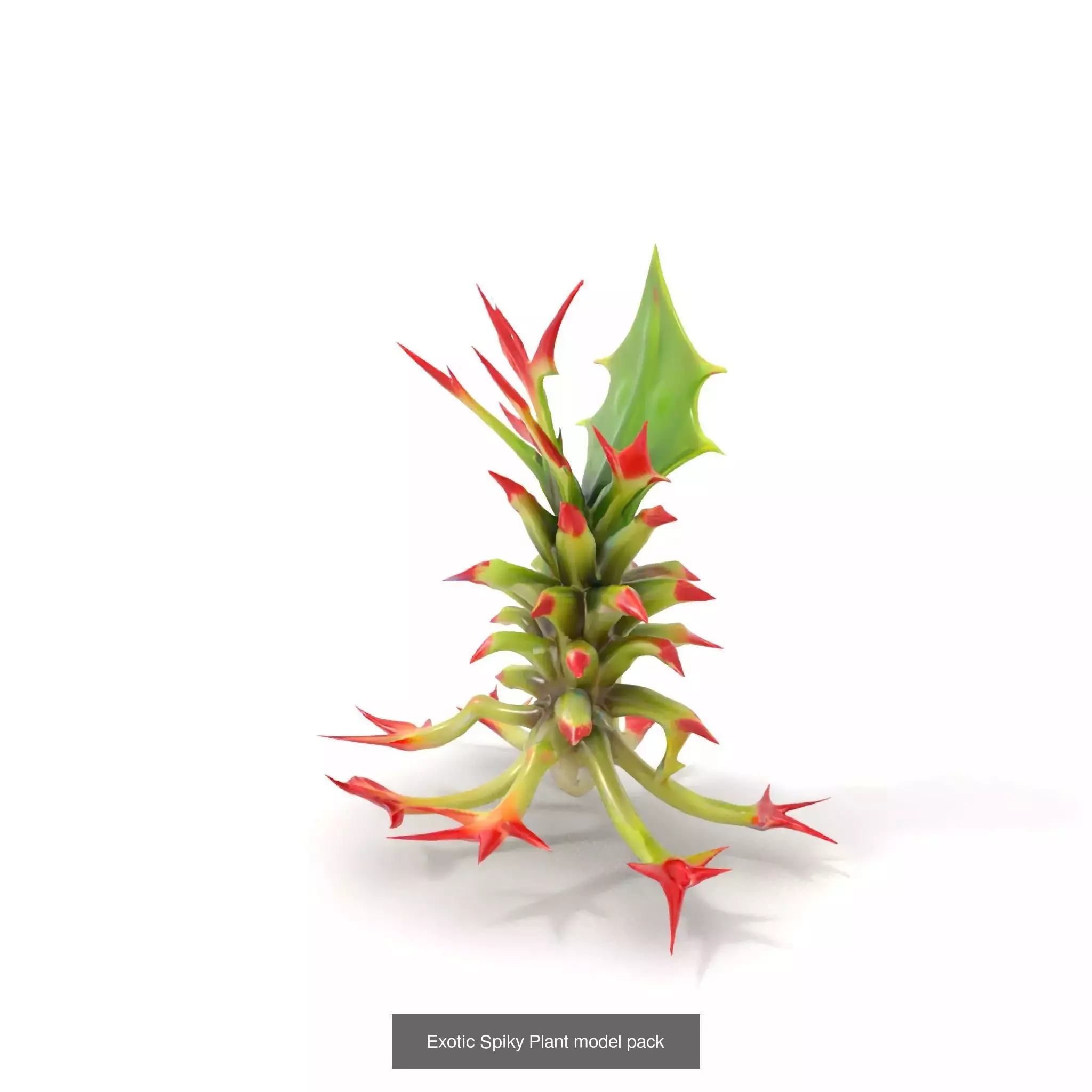 Extraterrestrial Flora Collection _35