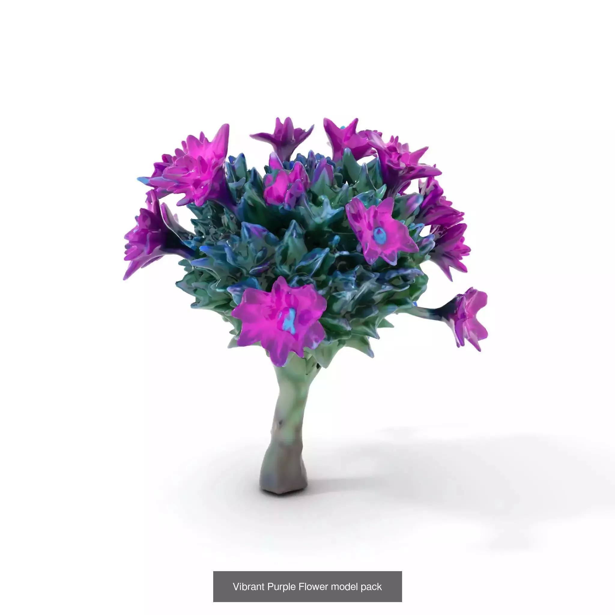 Extraterrestrial Flora Collection _55