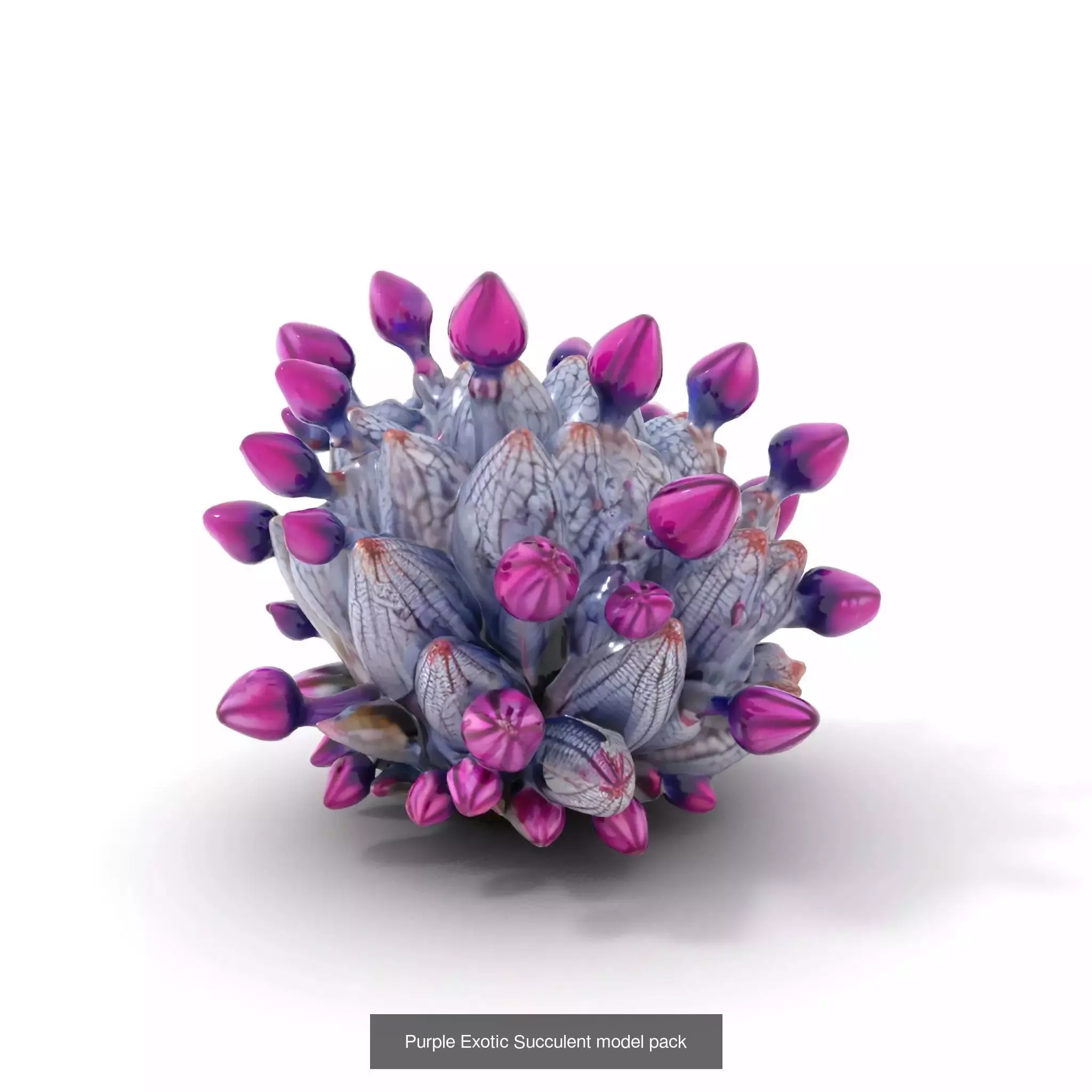 Extraterrestrial Flora Collection _54