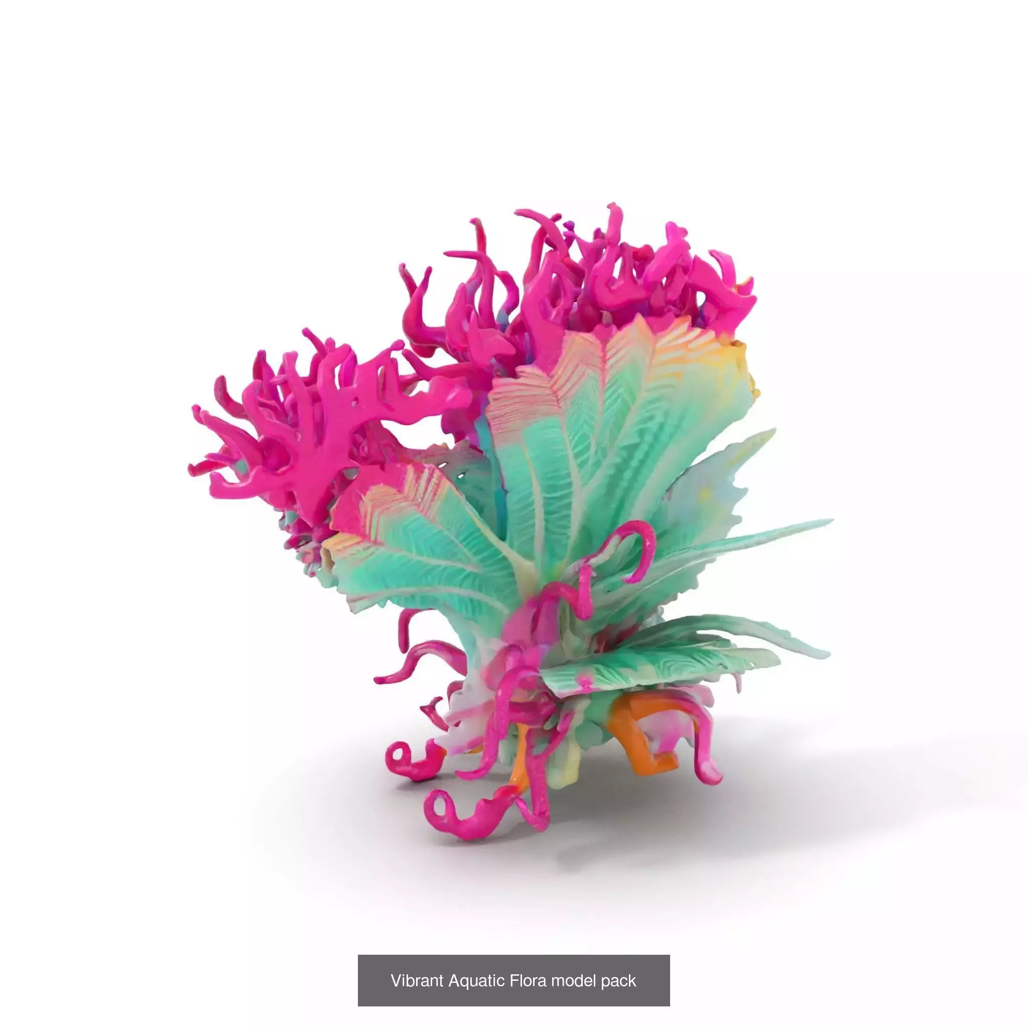 Extraterrestrial Flora Collection _57