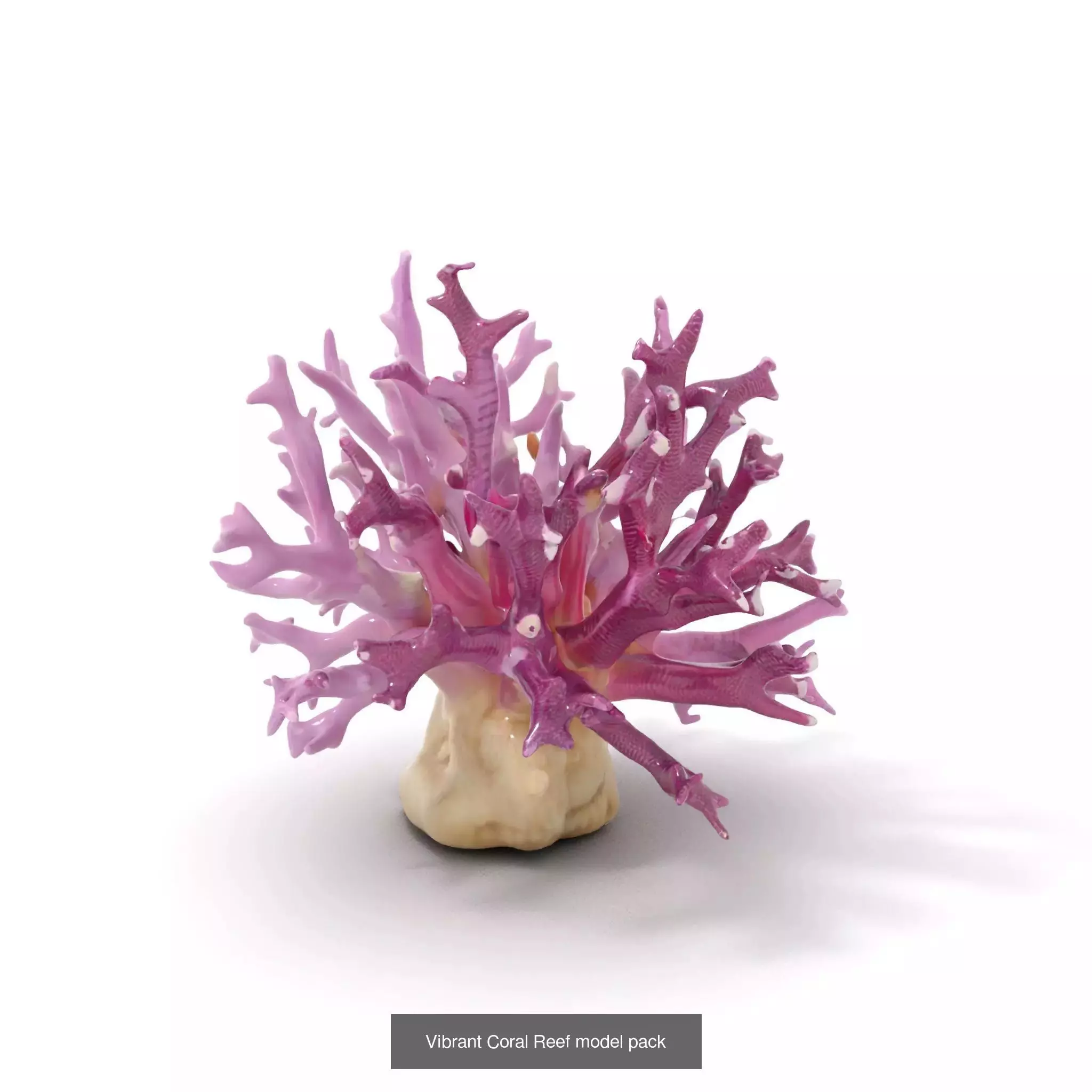 Extraterrestrial Flora Collection _37