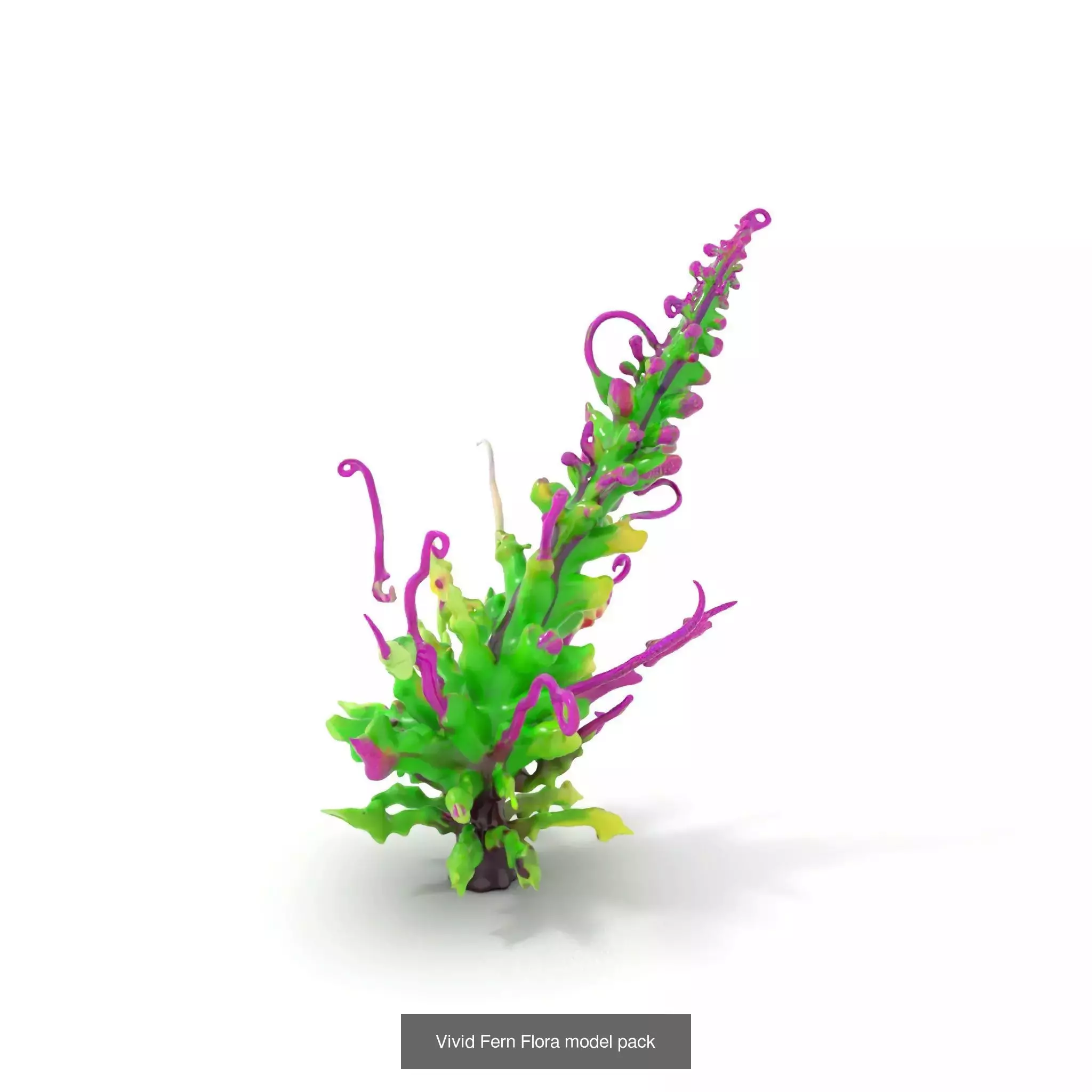 Extraterrestrial Flora Collection _36