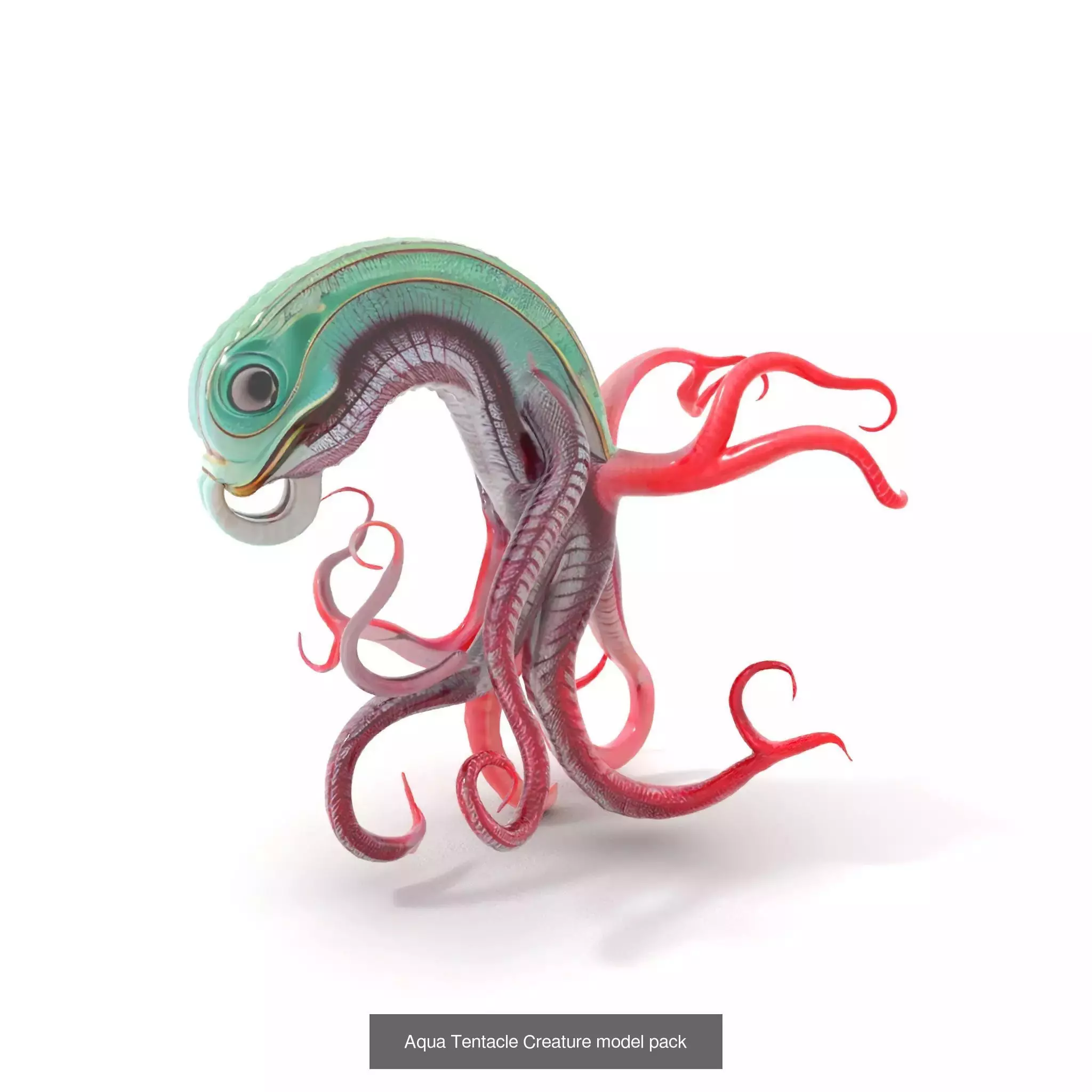 Extraterrestrial Flora Collection _60