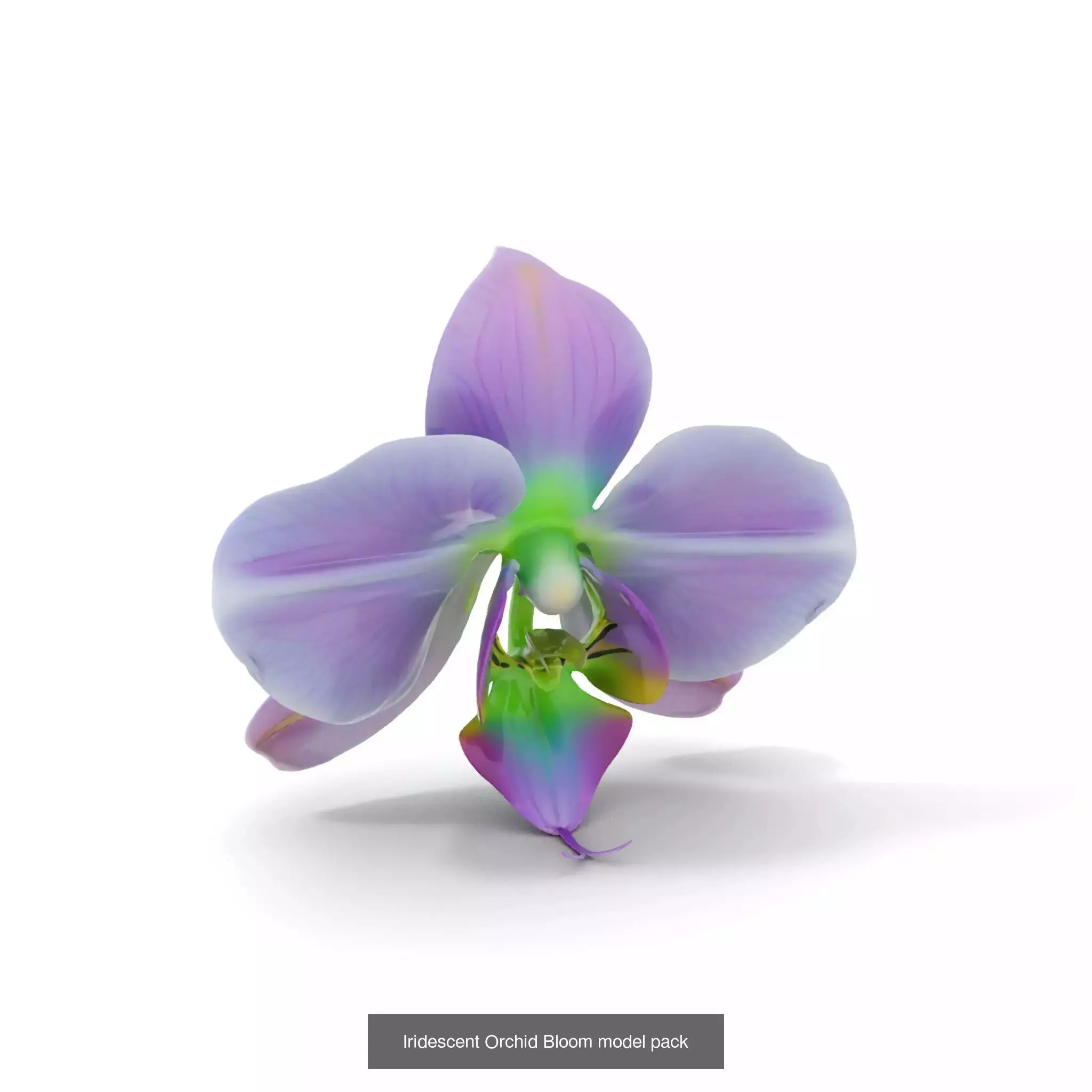 Extraterrestrial Flora Collection _62