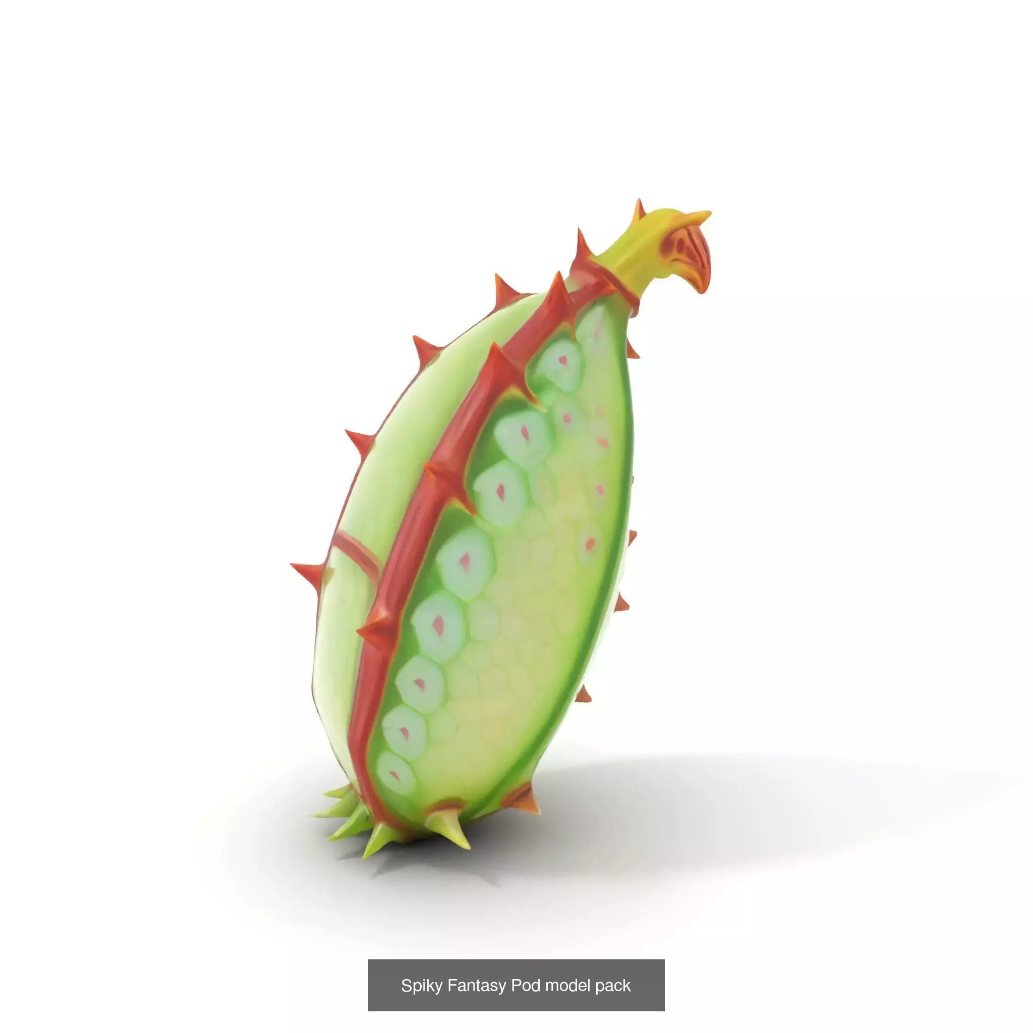 Extraterrestrial Flora Collection _33