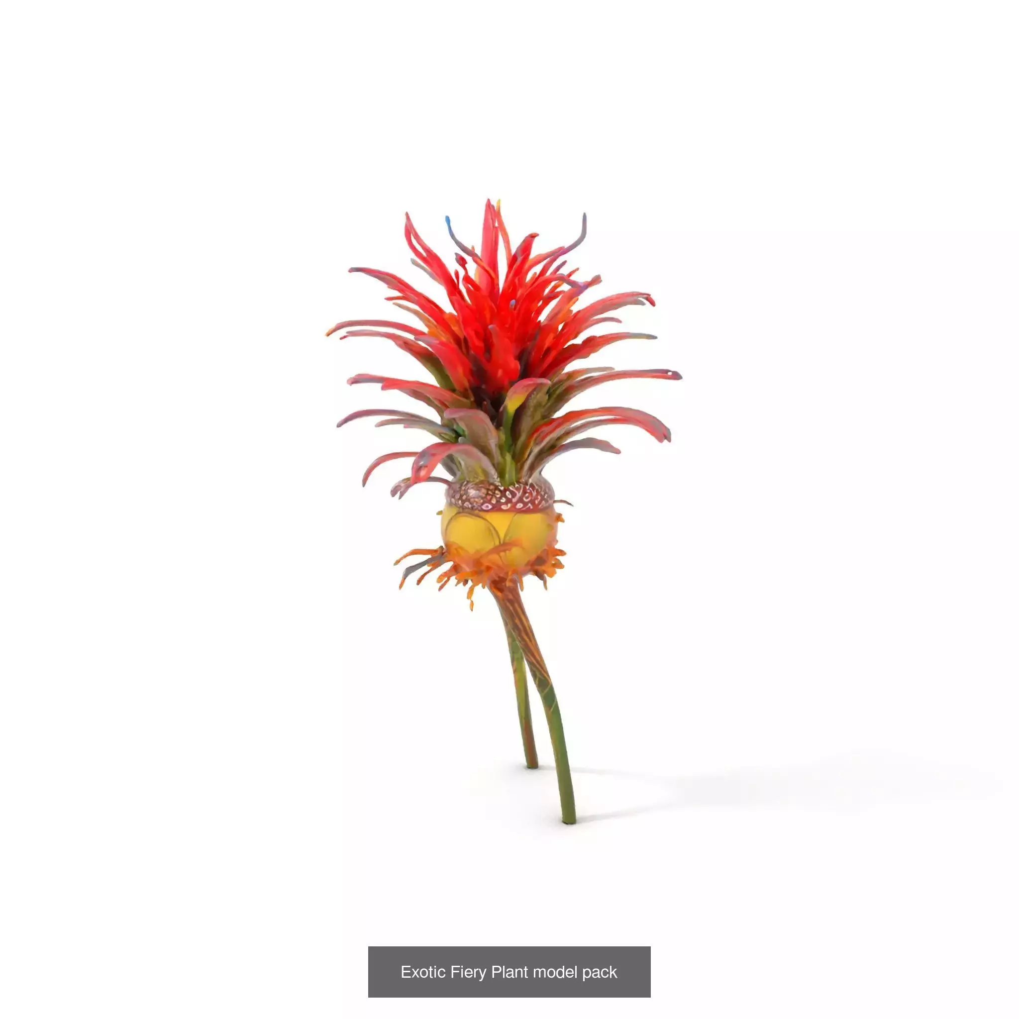 Extraterrestrial Flora Collection _49